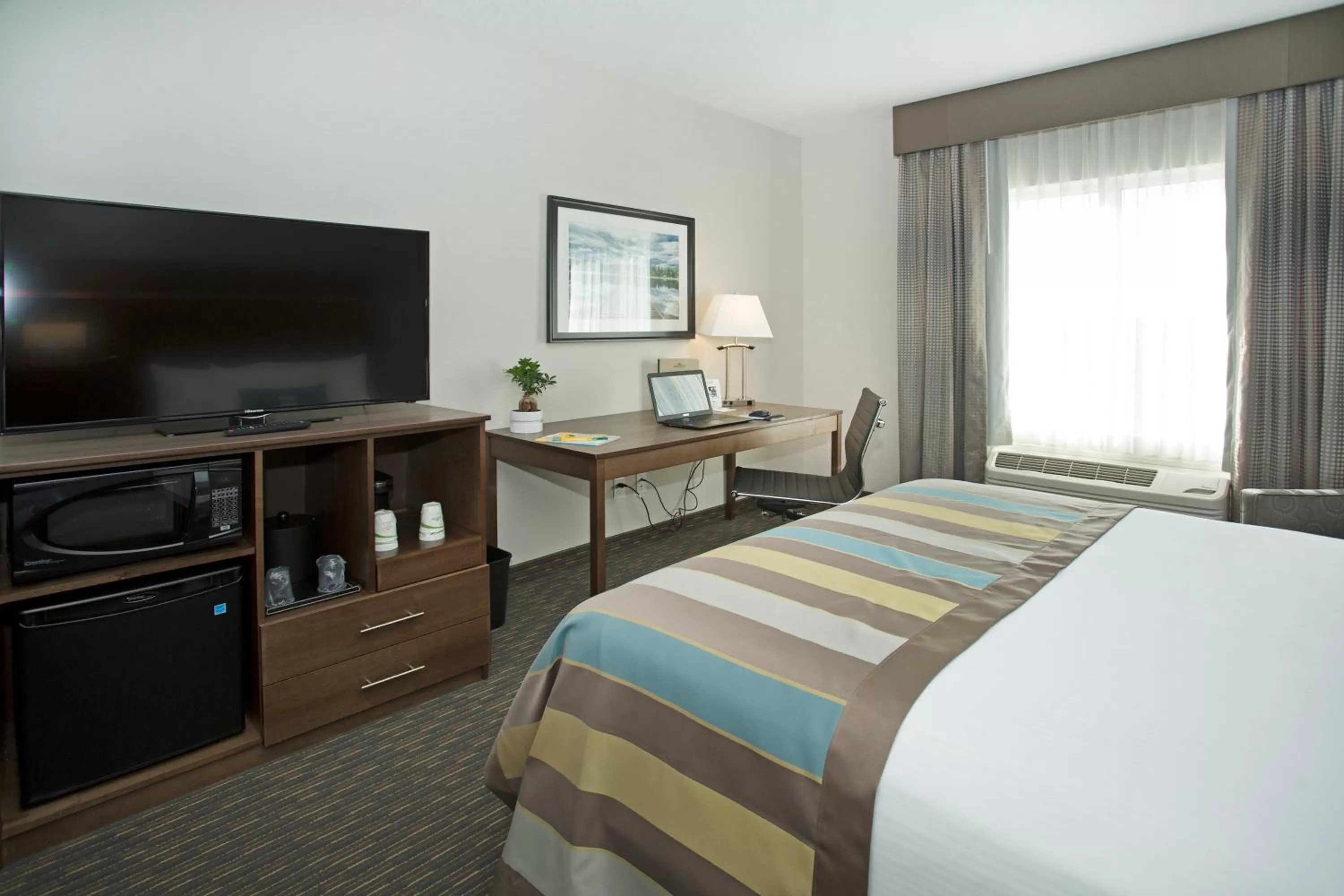Deluxe King Room - Non-Smoking in Wingate by Wyndham Calgary Airport