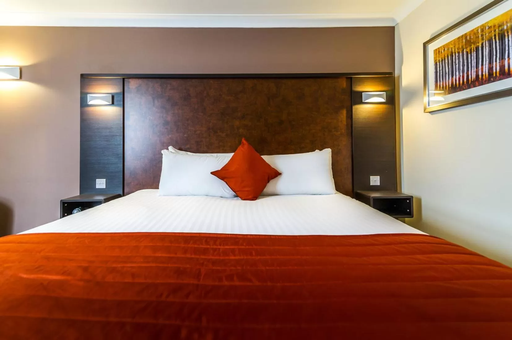 Twin Room in Dragonfly Hotel Colchester