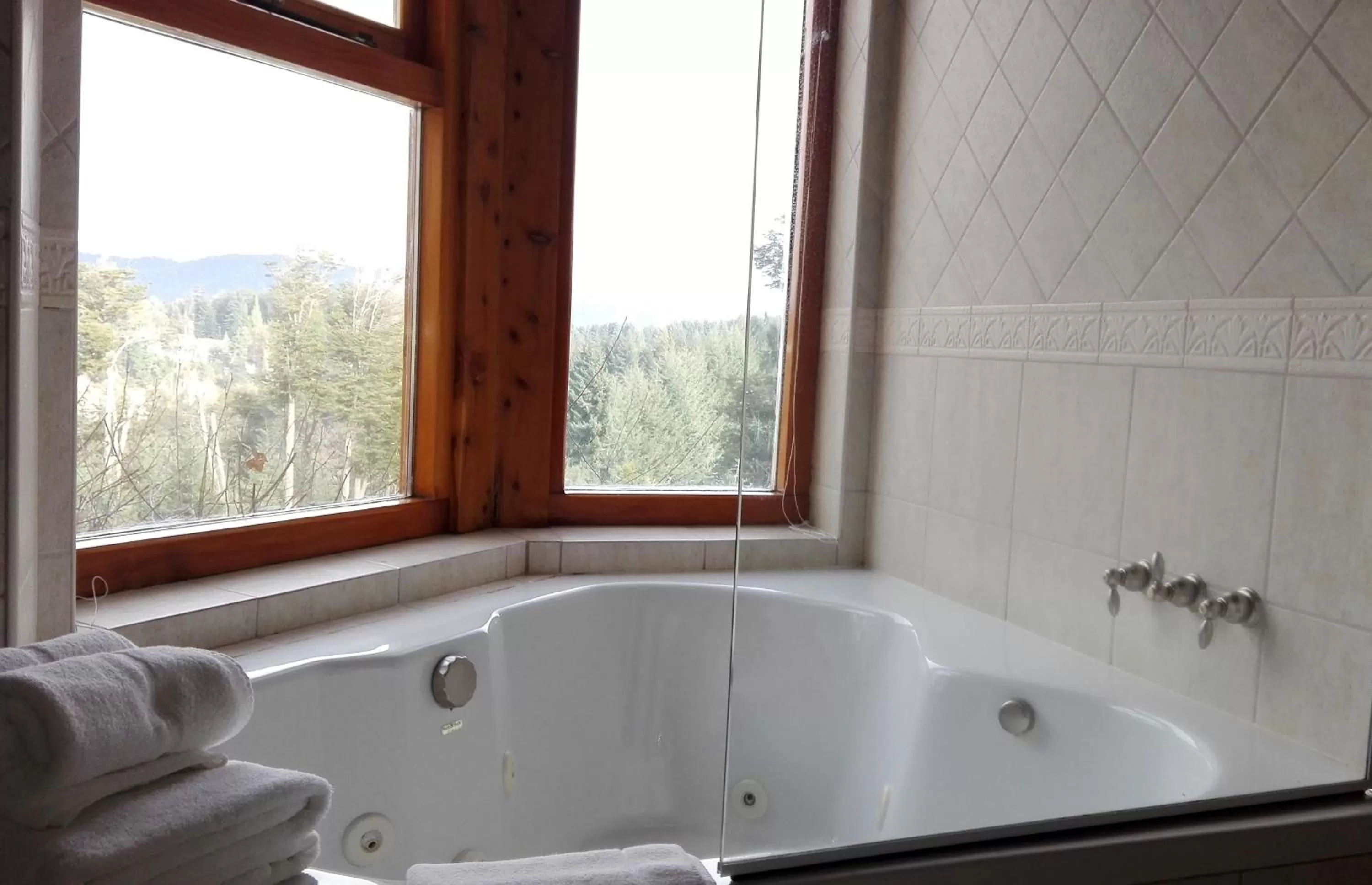 Superior Double Room in Amigos del Bosque