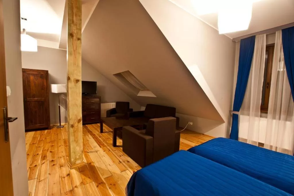 Large Double Room in Dom Pracy Twórczej