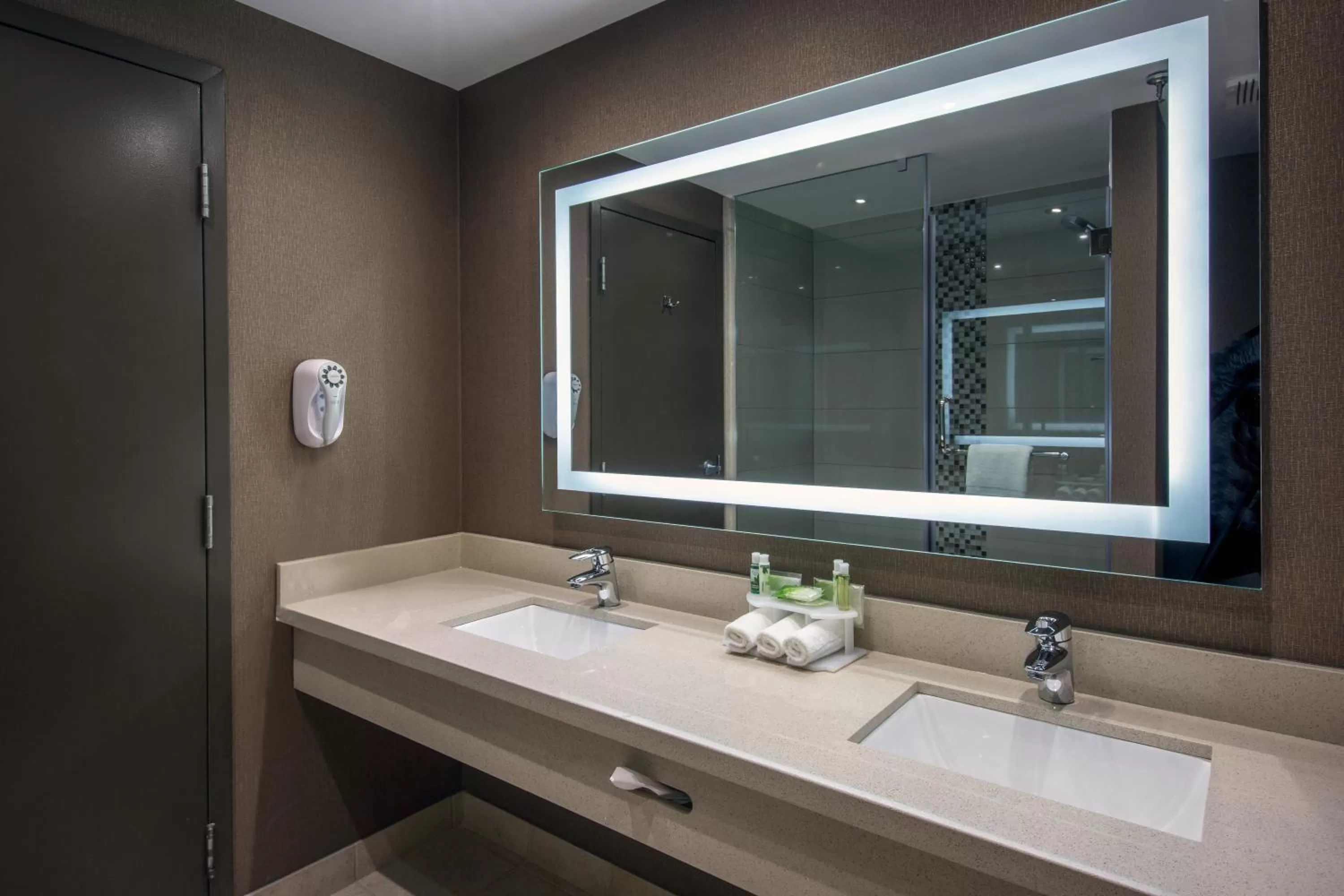 One-Bedroom Suite in Quality Inn & Suites Regina Downtown