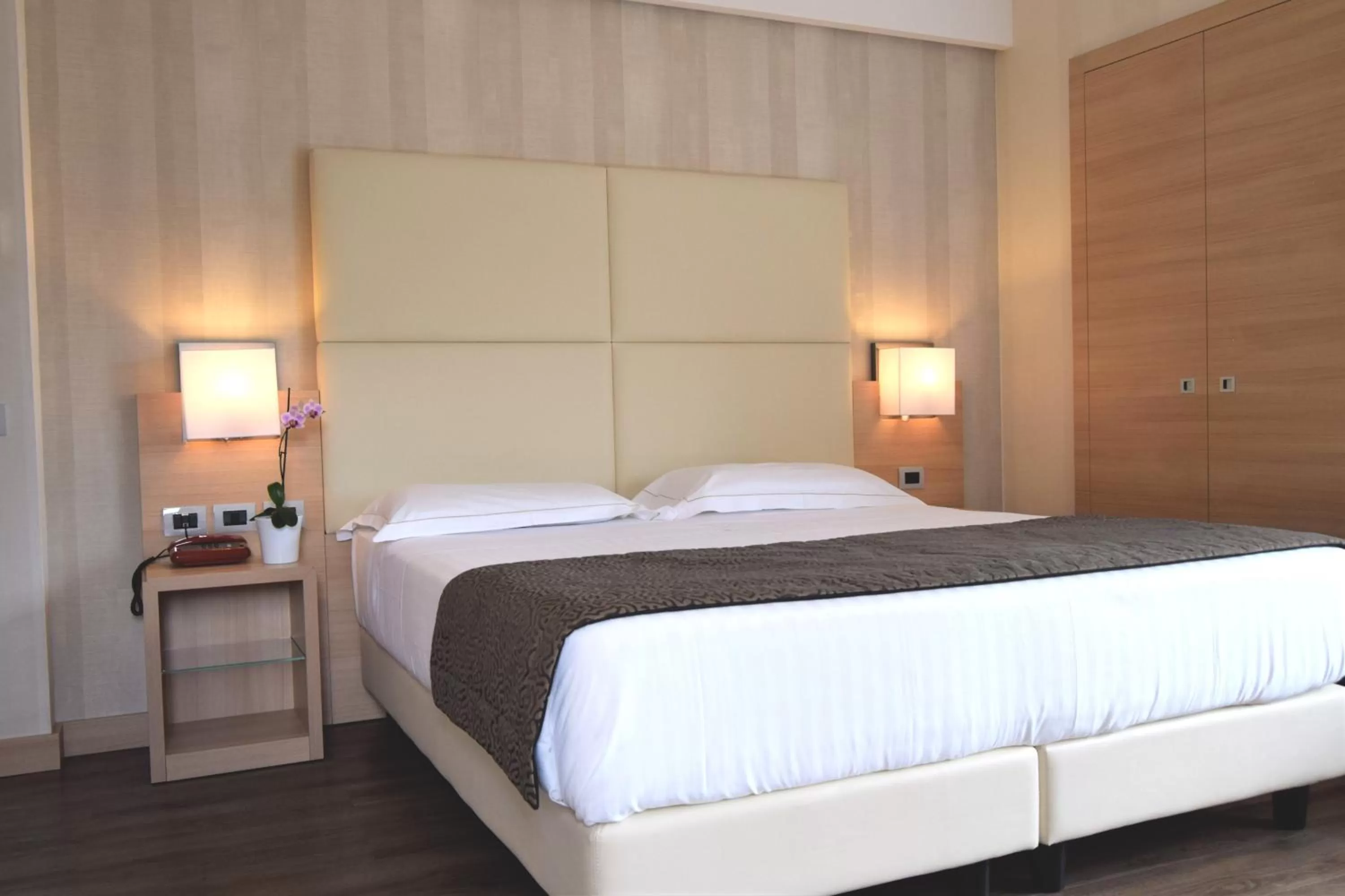 Superior Double or Twin Room in Hotel Continental