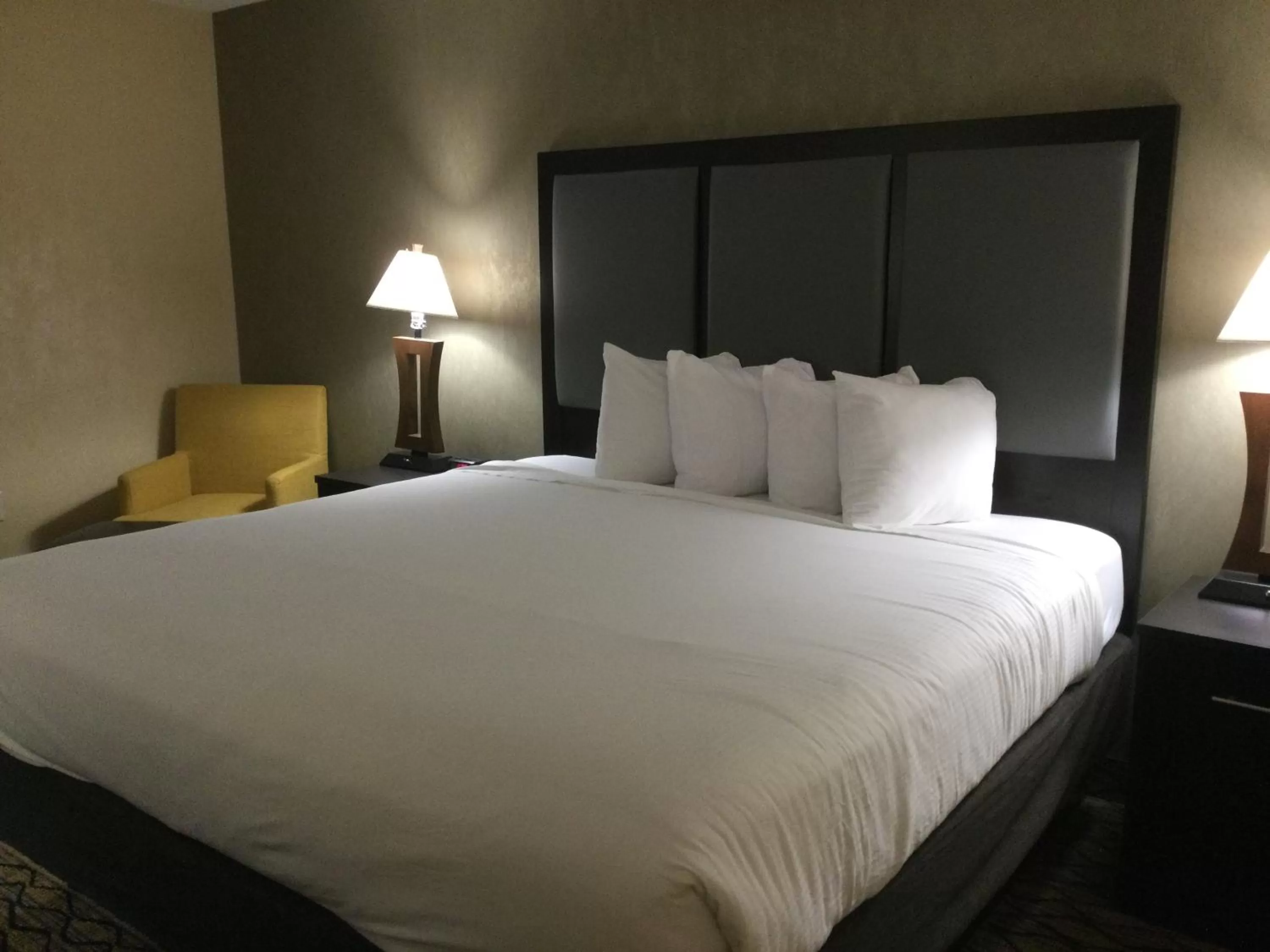 King Room - Non-Smoking in Baymont by Wyndham Bridgeport/Frankenmuth