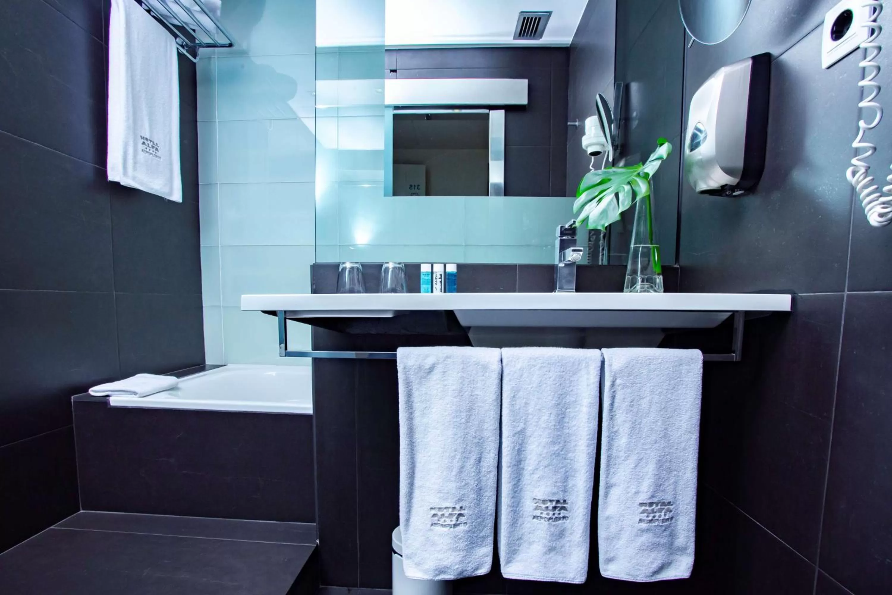 Double or Twin Room in Best Western Plus Hotel Alfa Aeropuerto