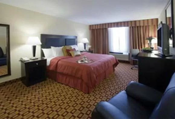 King Room - Non-Smoking in Super 8 by Wyndham Chicago Northlake O'Hare South