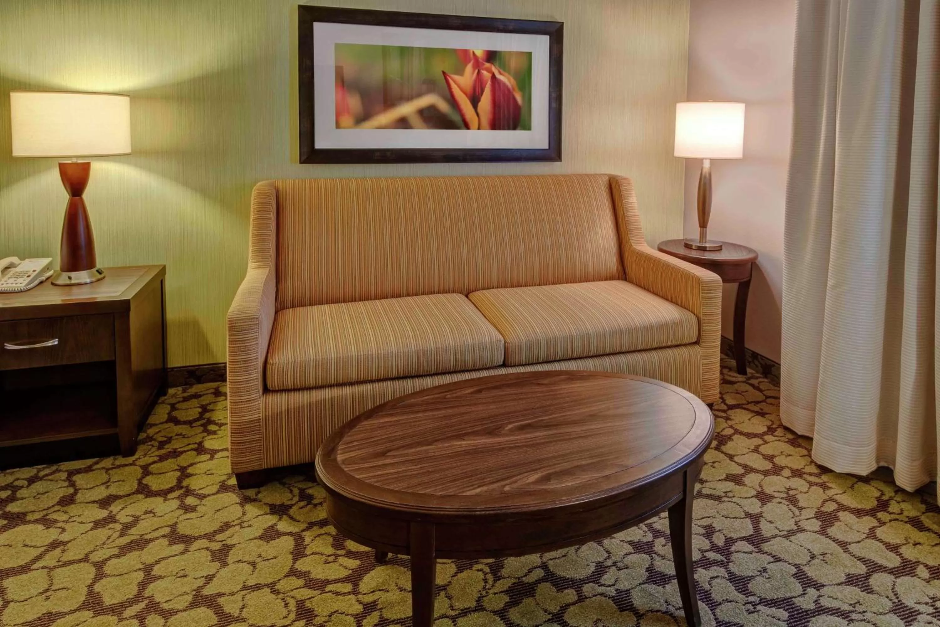 King Room with Sofa Bed - Non-Smoking in Hilton Garden Inn Minneapolis/Eden Prairie