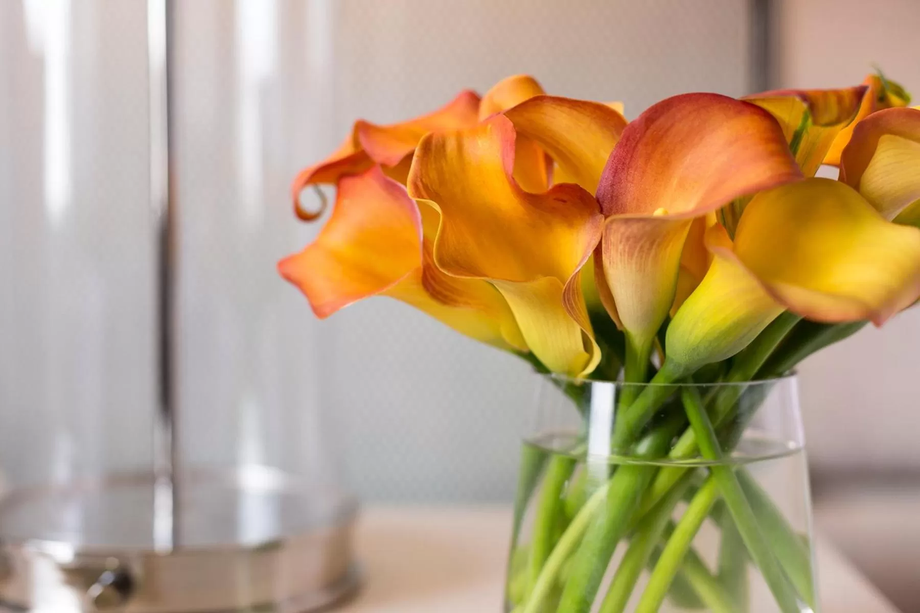 Luxury Suite in Four Seasons Hotel Atlanta