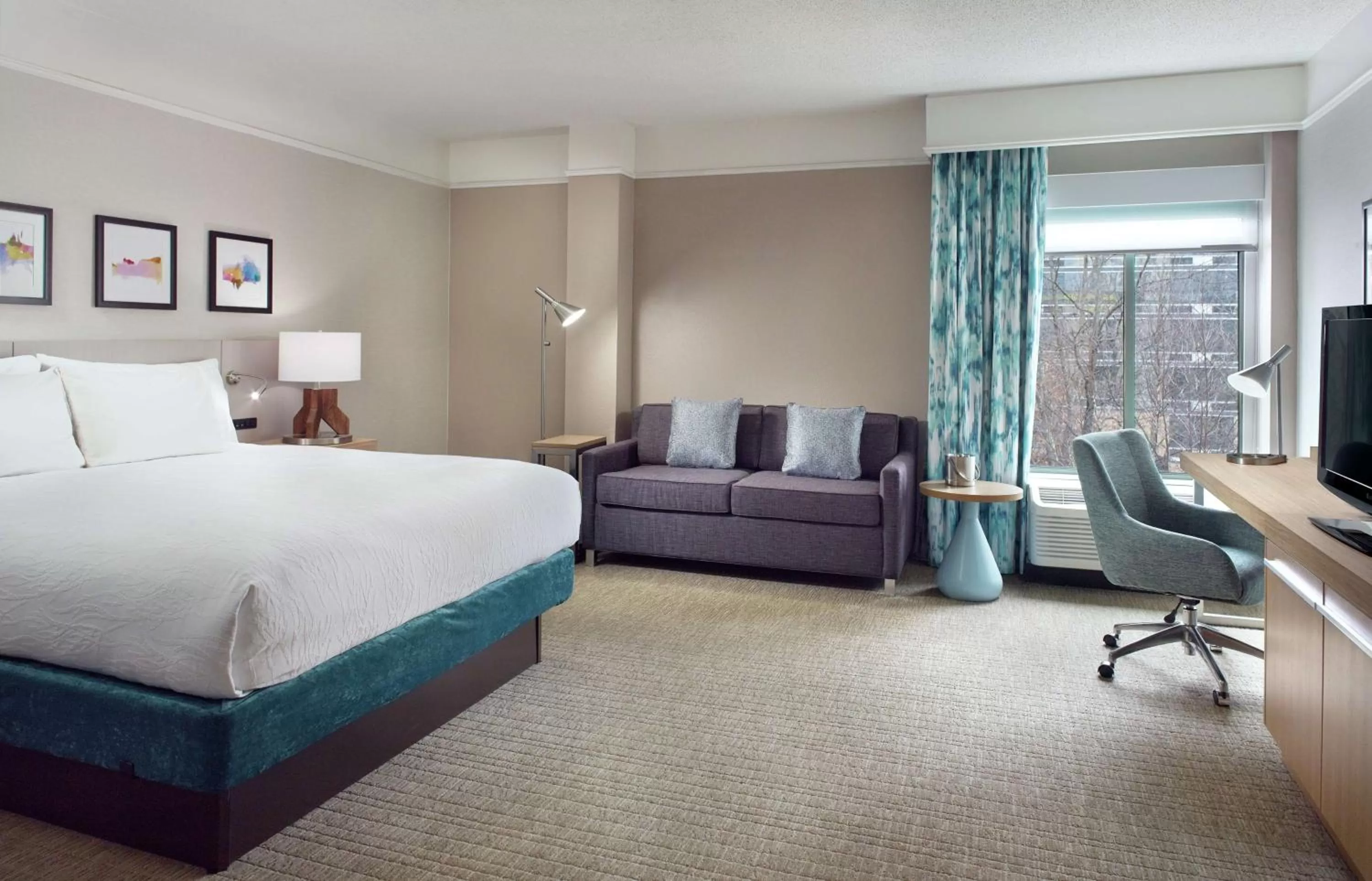 Deluxe King Room with Sofa Bed in Hilton Garden Inn Atlanta-Buckhead