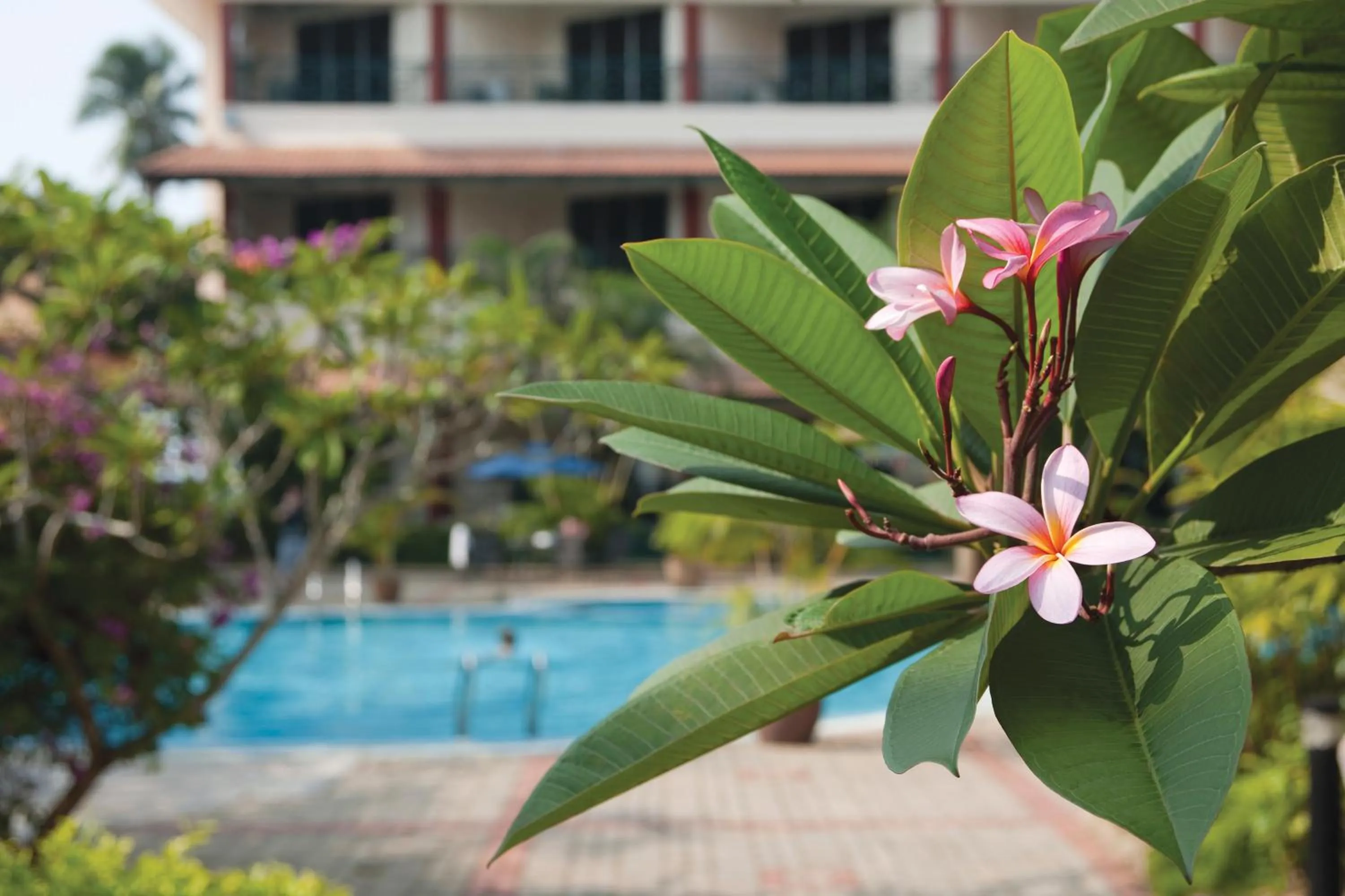 View (from property/room) in The Qamar Paka, Terengganu