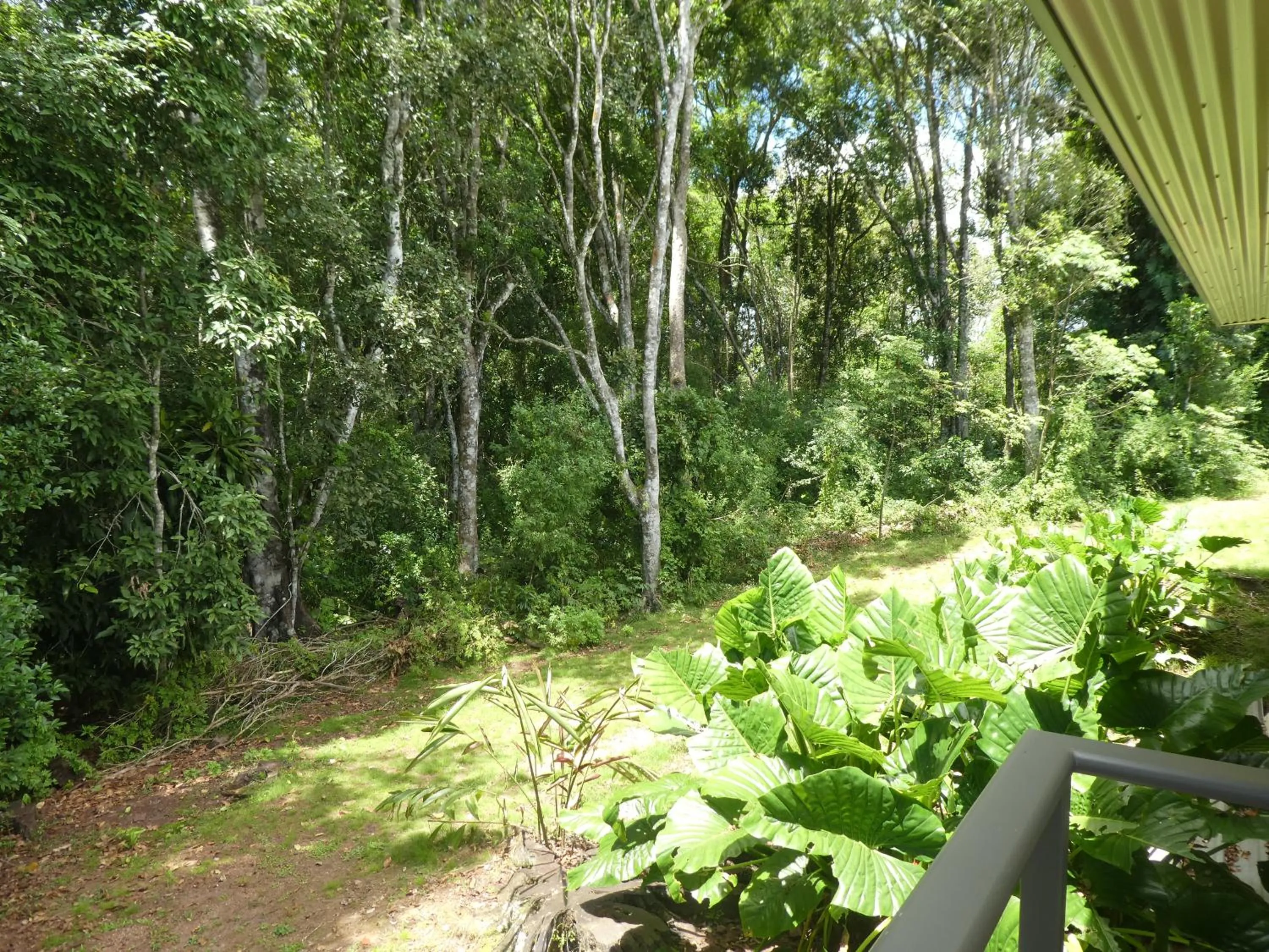 Two-Bedroom Apartment in The Summit Rainforest Retreat