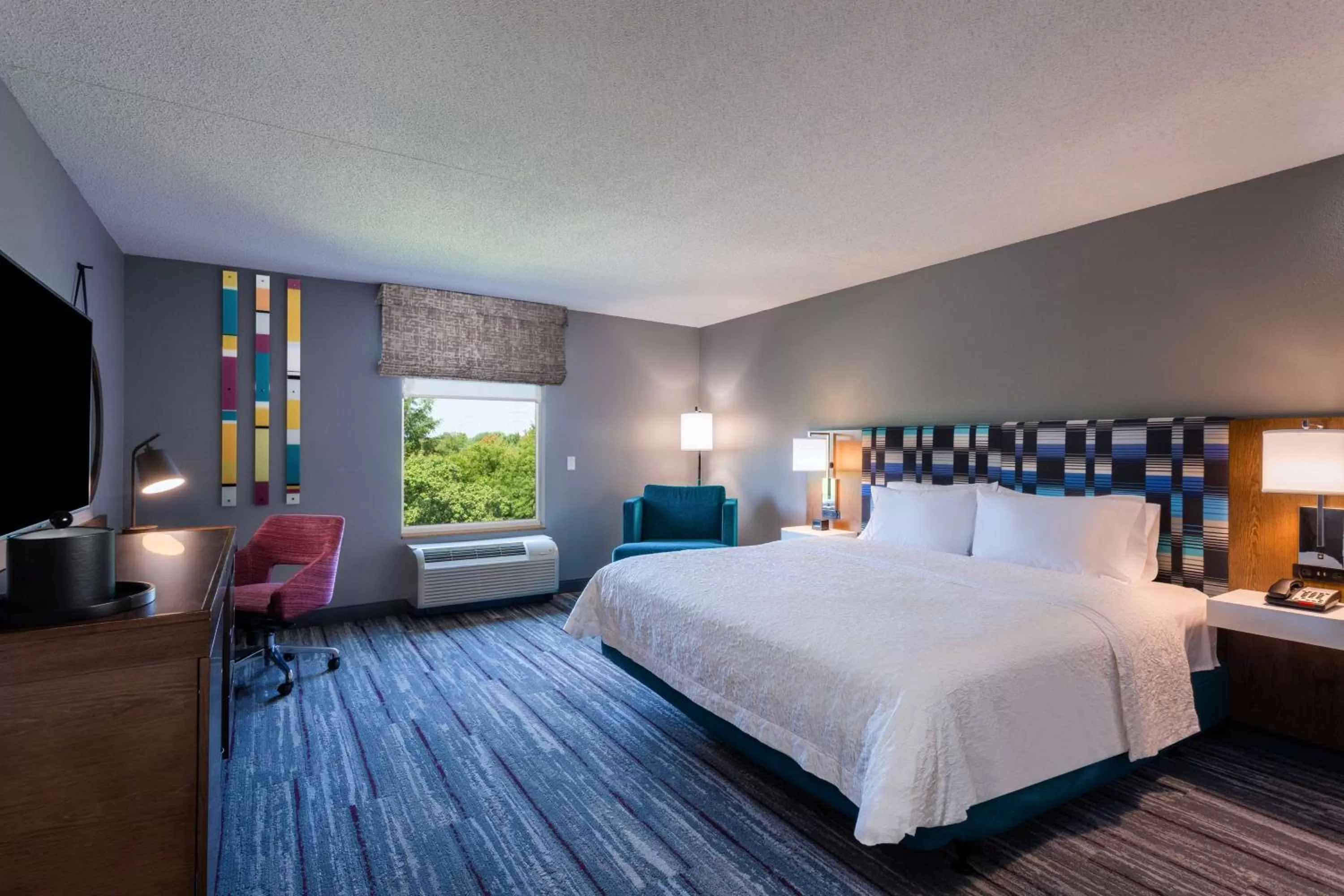 King Room with Accessible Tub - Mobility and Hearing Access/Non-Smoking in Hampton Inn & Suites Herndon-Reston