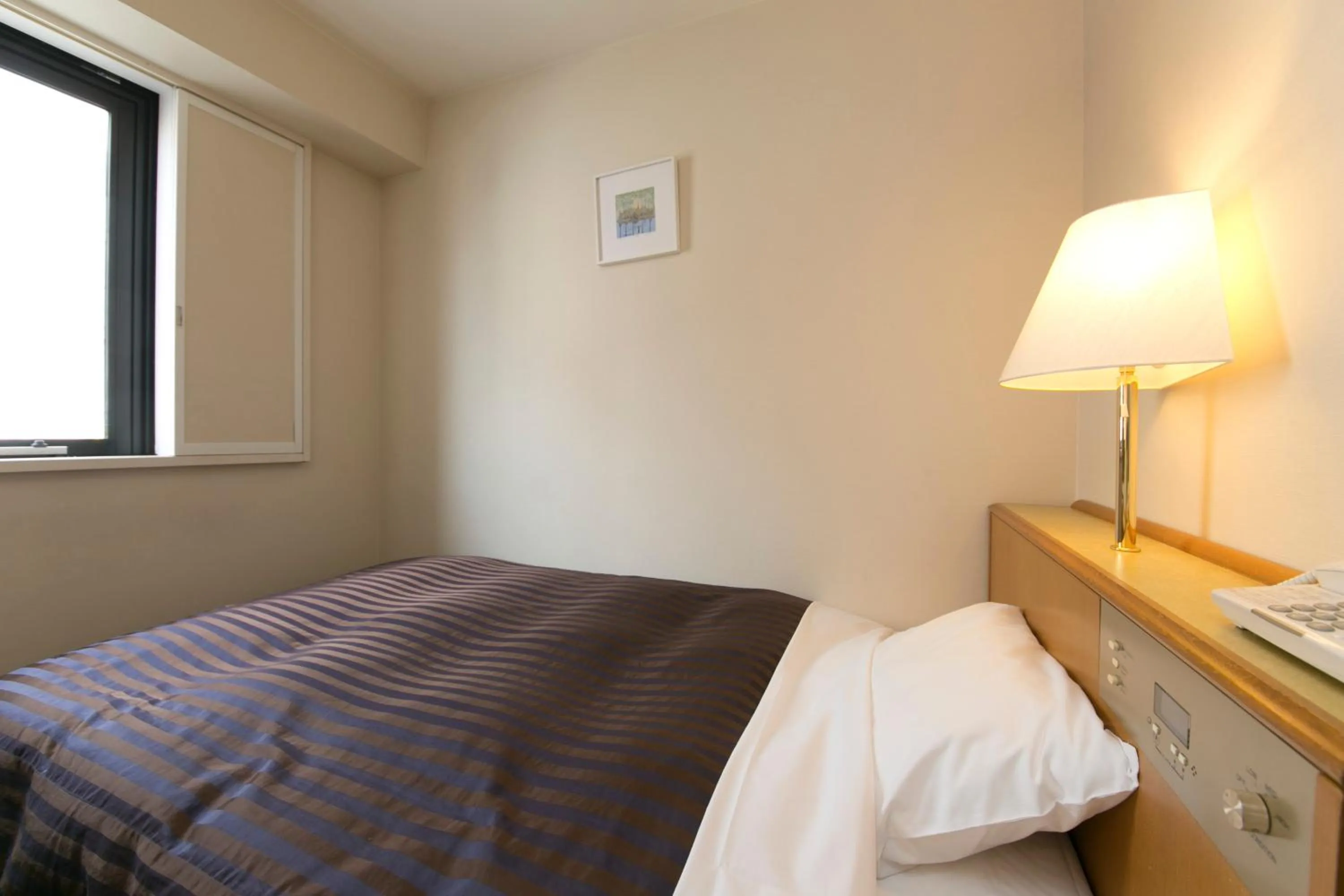 Single Room - Smoking in Ace Inn Matsumoto