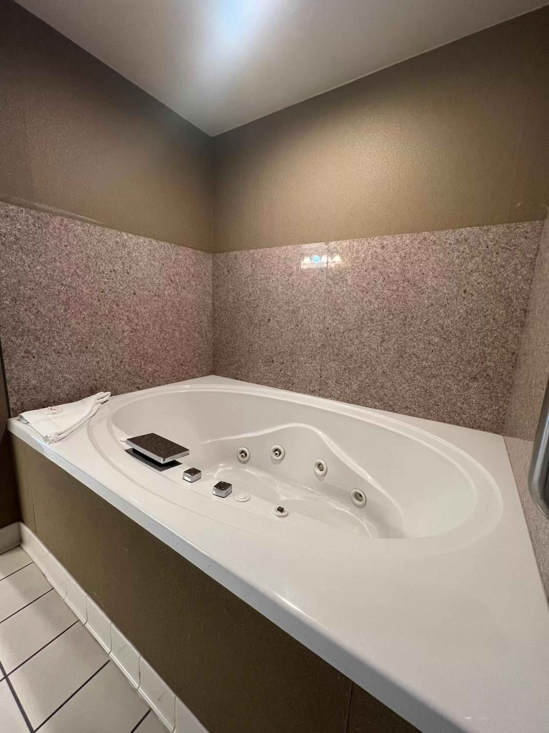 One-Bedroom King Suite - Non-Smoking in Wingate by Wyndham Coon Rapids