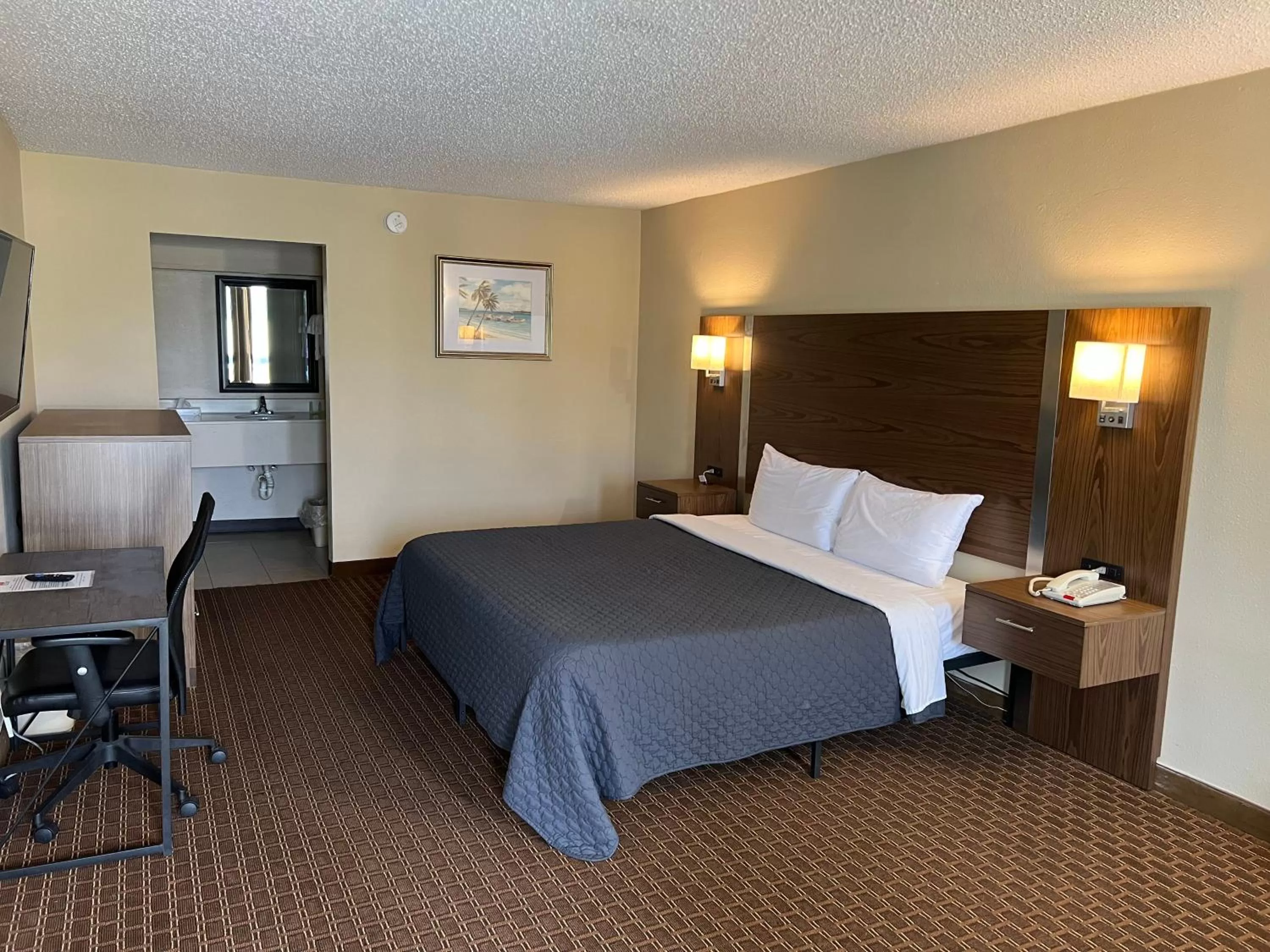 King Room - single occupancy - Disability Access in Red Carpet Inn Kinston