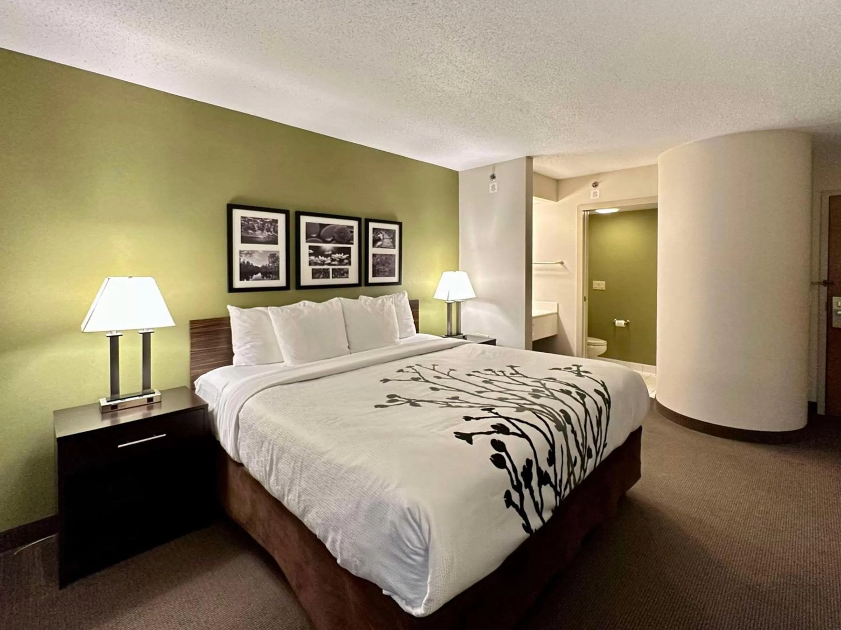 King Room with Roll-In Shower - Disability Access/Non Smoking in Sleep Inn