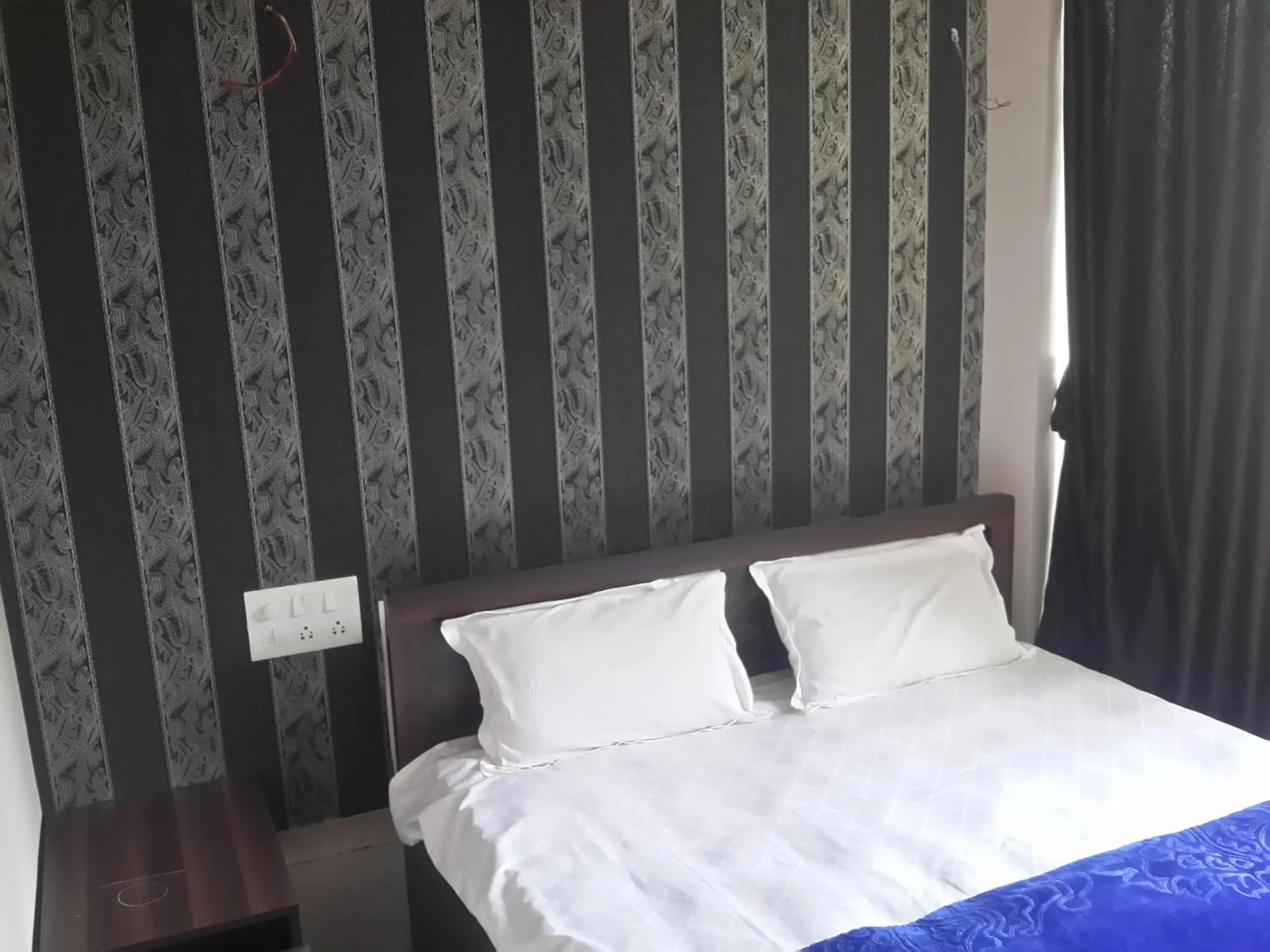 Executive Double Room (AC) - single occupancy in Hotel Holiday Era Opposite Railway Station