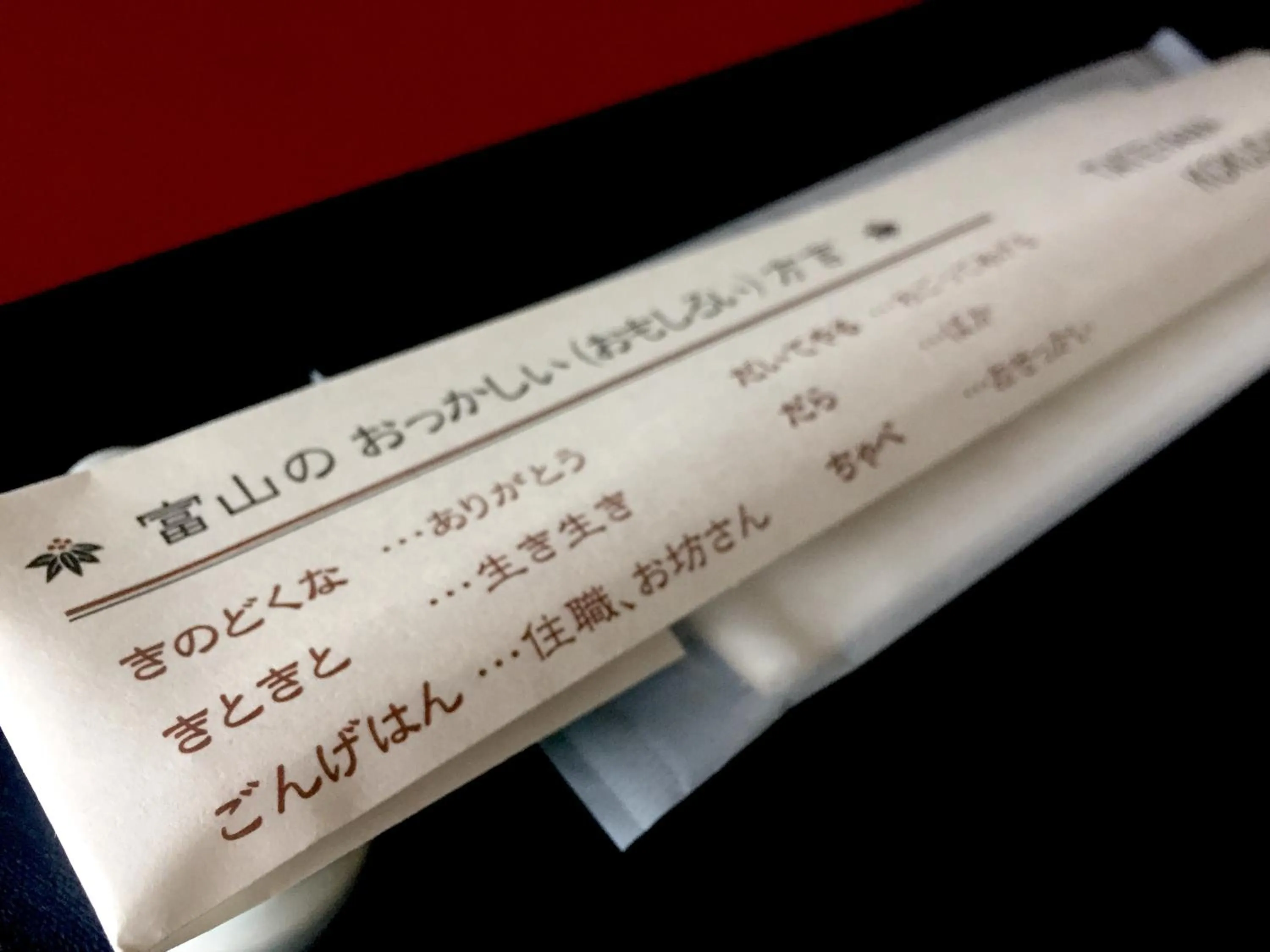 Tateyama Kokusai Hotel