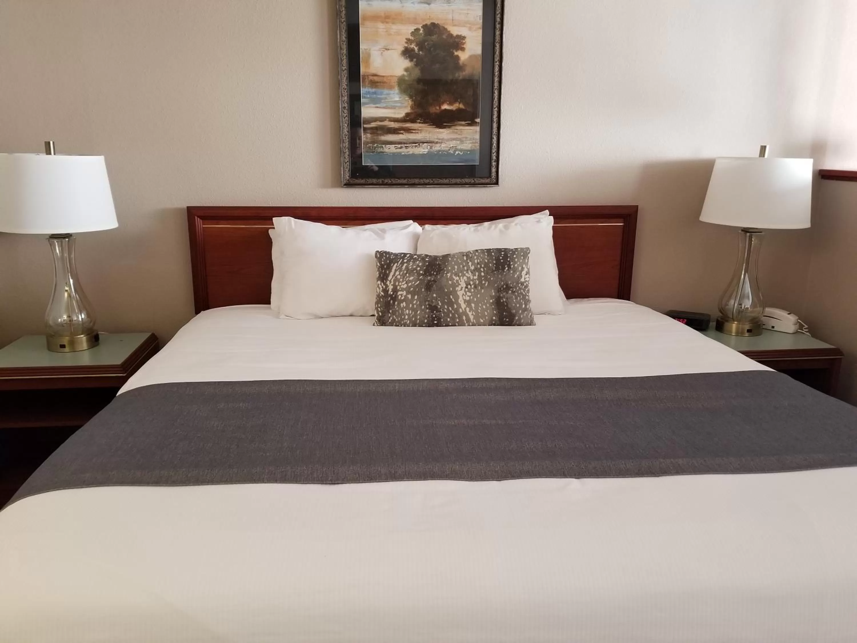 Jr Suite King Bed w/Sleeper Sofa in Shilo Inn Suites Salem