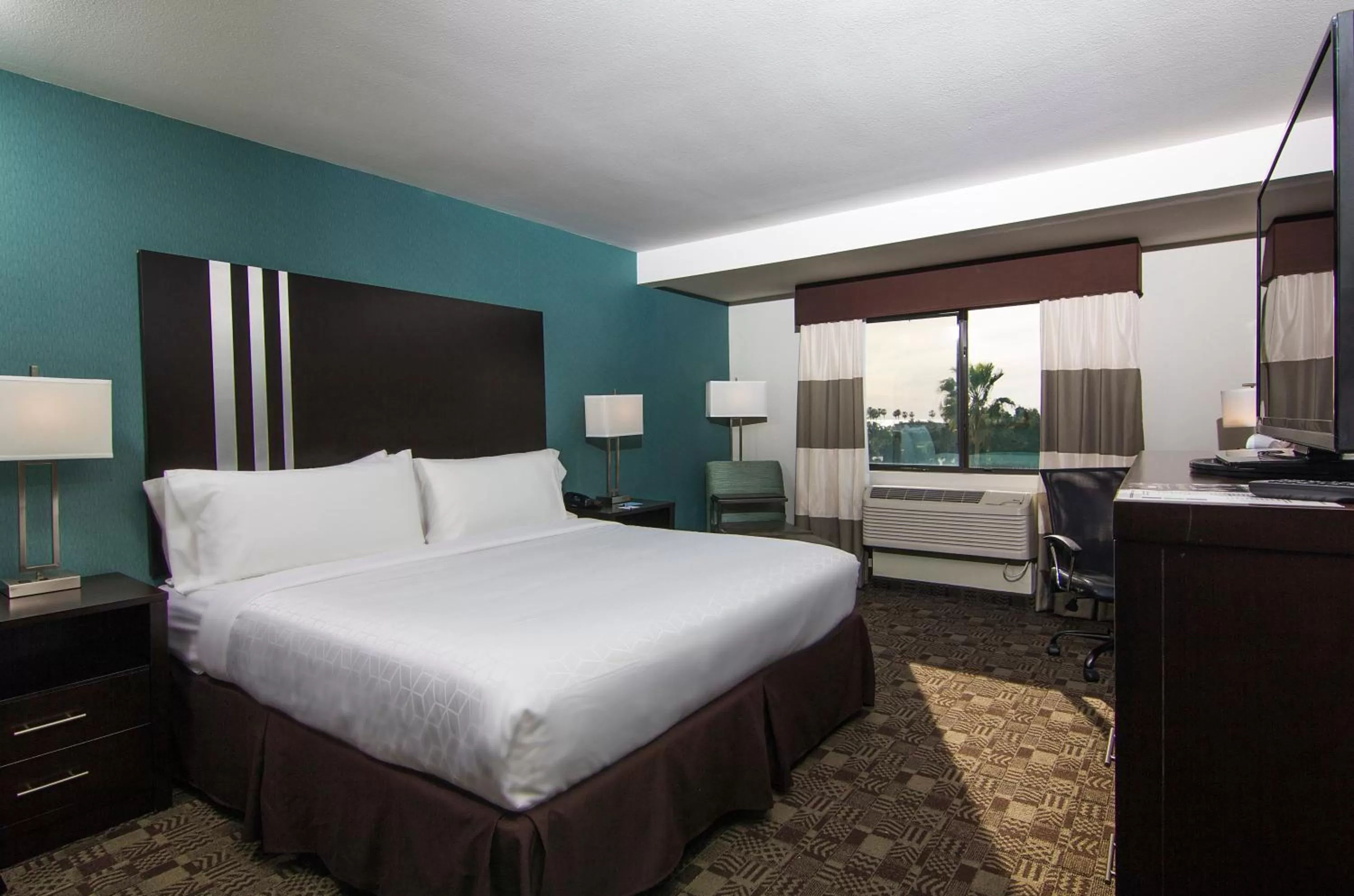 King Suite in Holiday Inn Express Hotel & Suites Carlsbad Beach by IHG