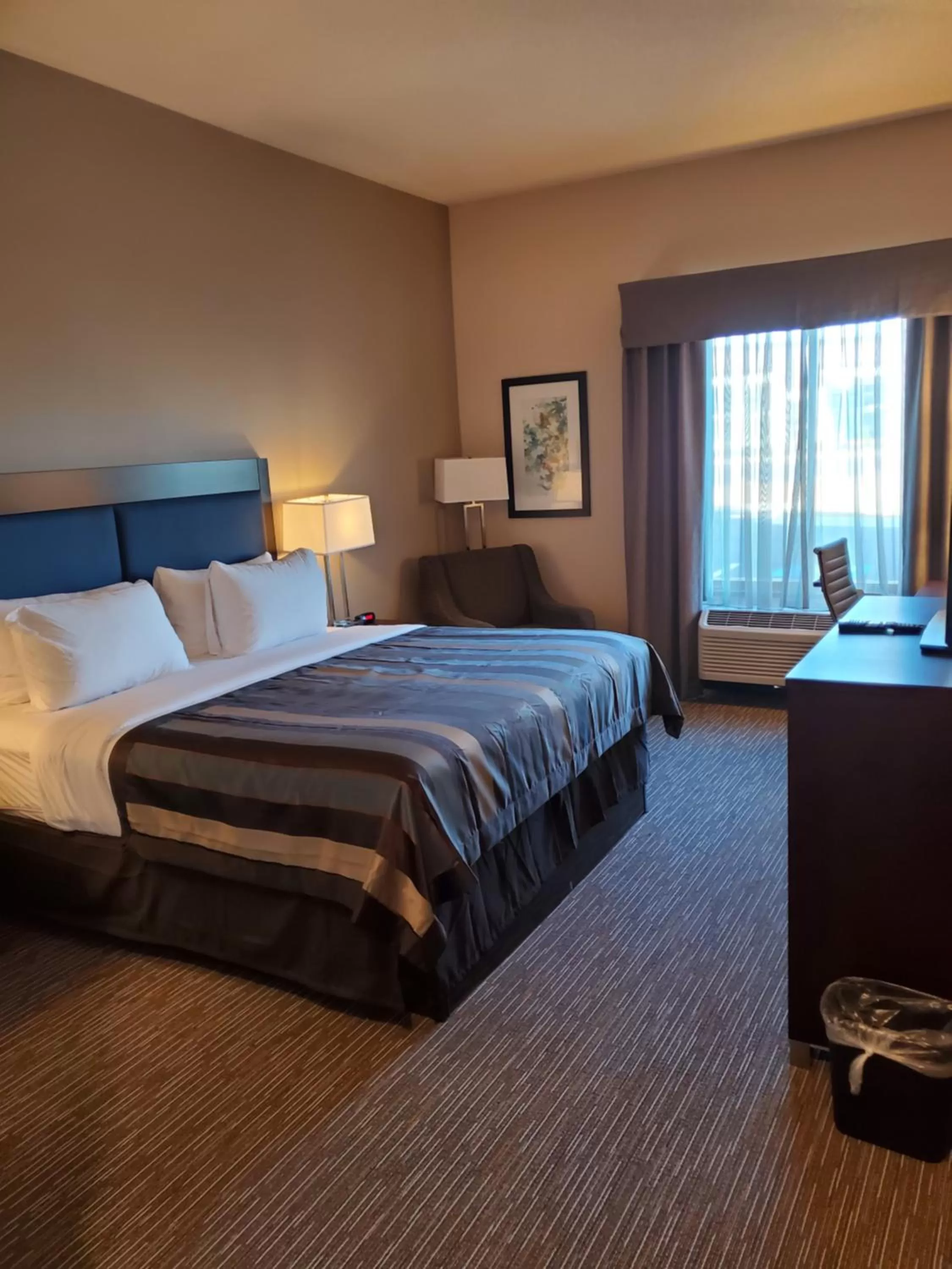 King Room - Non-Smoking in Wingate by Wyndham Christiansburg