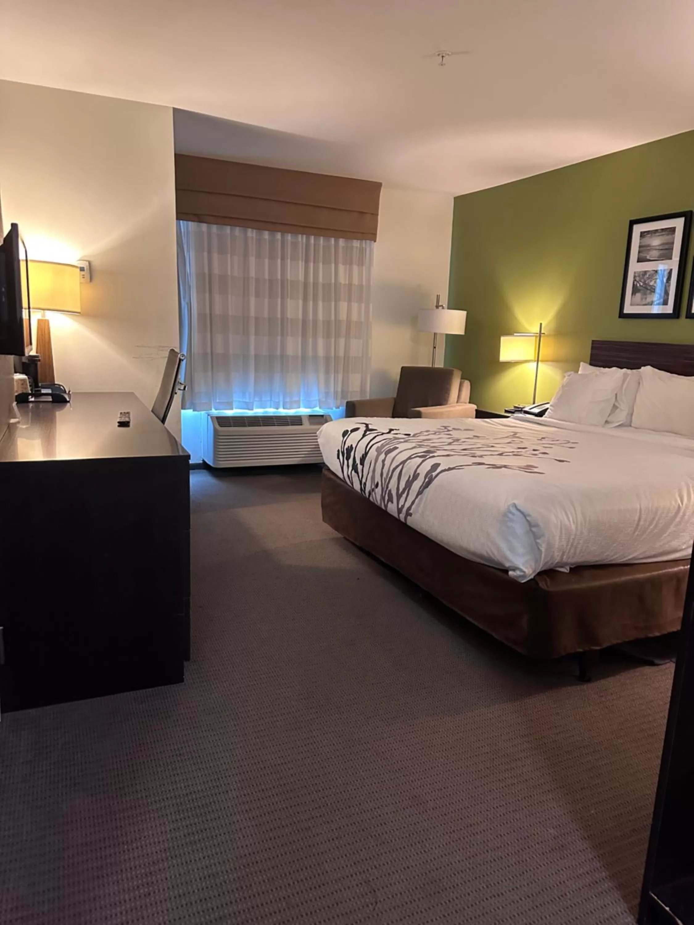 King Room - Accessible/Non-Smoking in Sleep Inn & Suites Gulfport