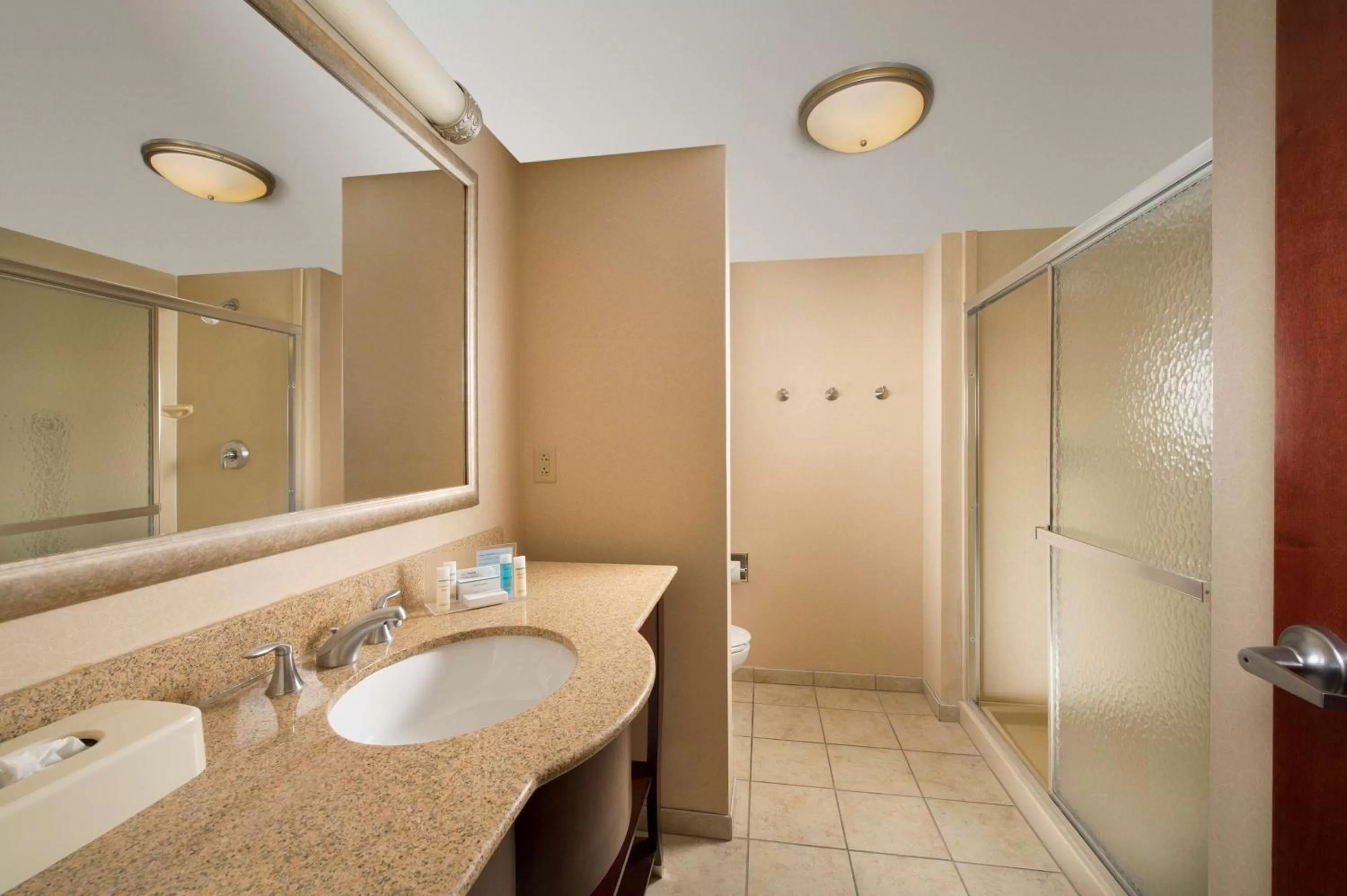 King Room - Disability Access with a Bathtub/Non-Smoking in Hampton Inn Seneca Falls