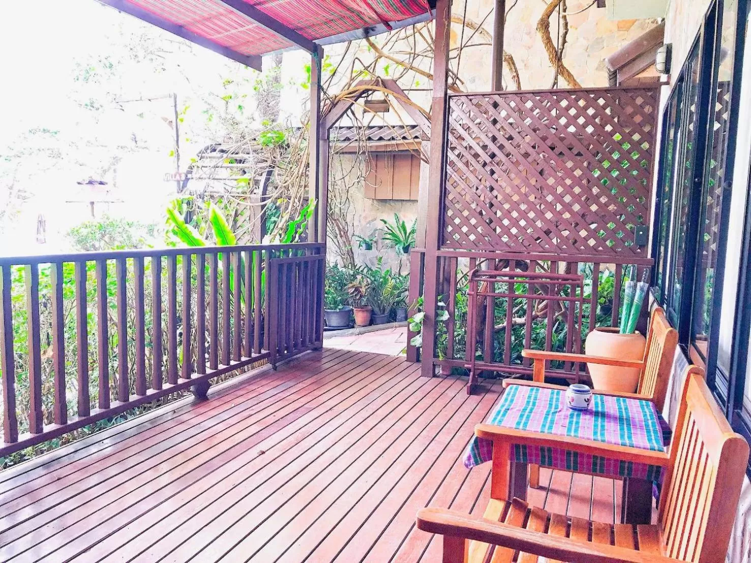 Poolside Junior Suite in Birds and Bees Resort