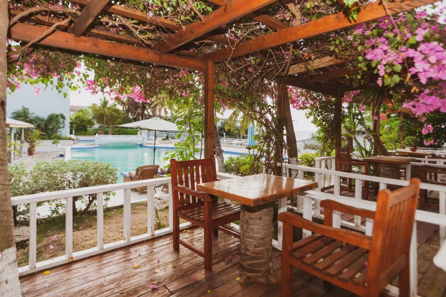 Double or Twin Room with Garden View in Ocean Point Beach Resort & Spa Adults Only