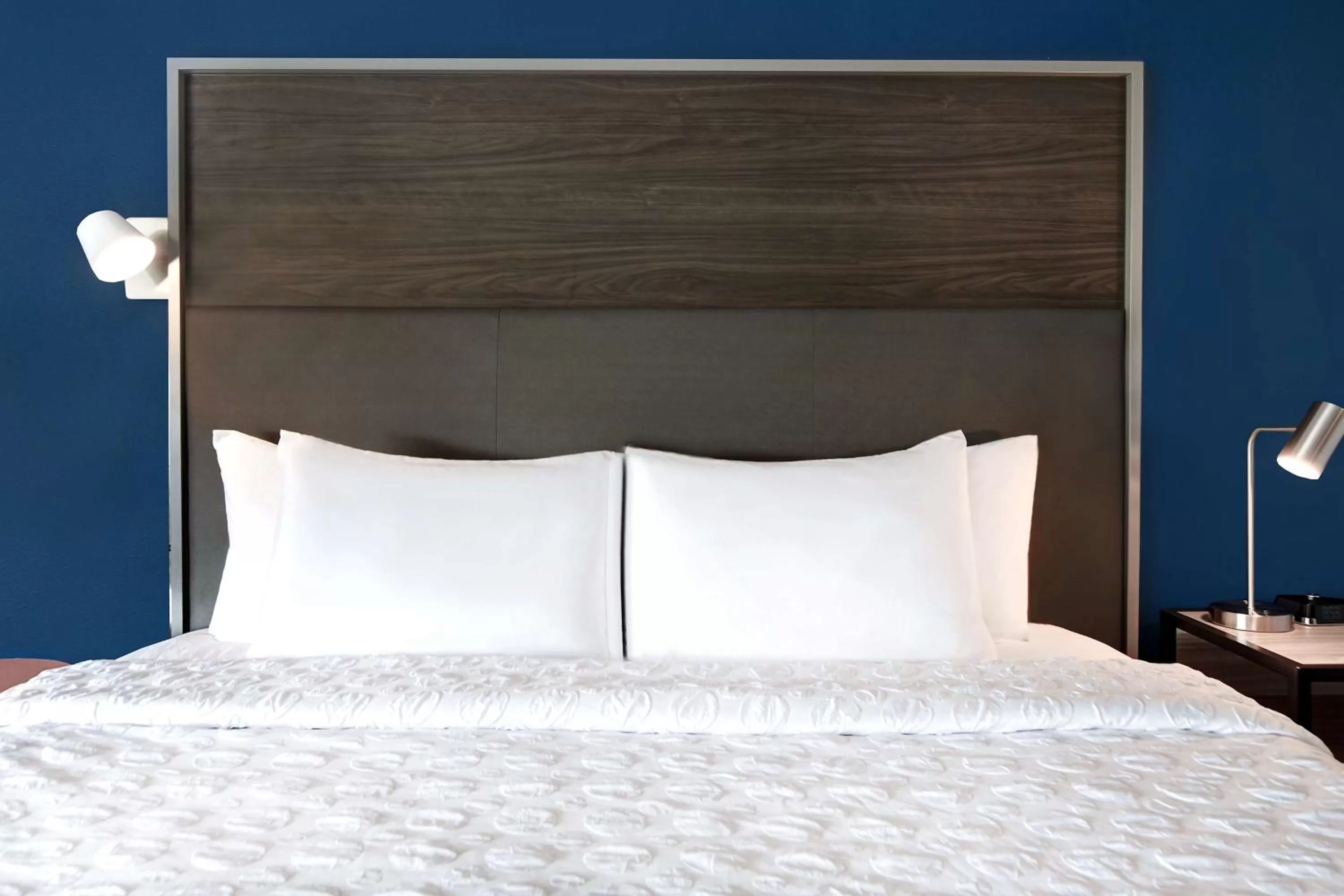 King Room in Tru By Hilton Macon North, Ga