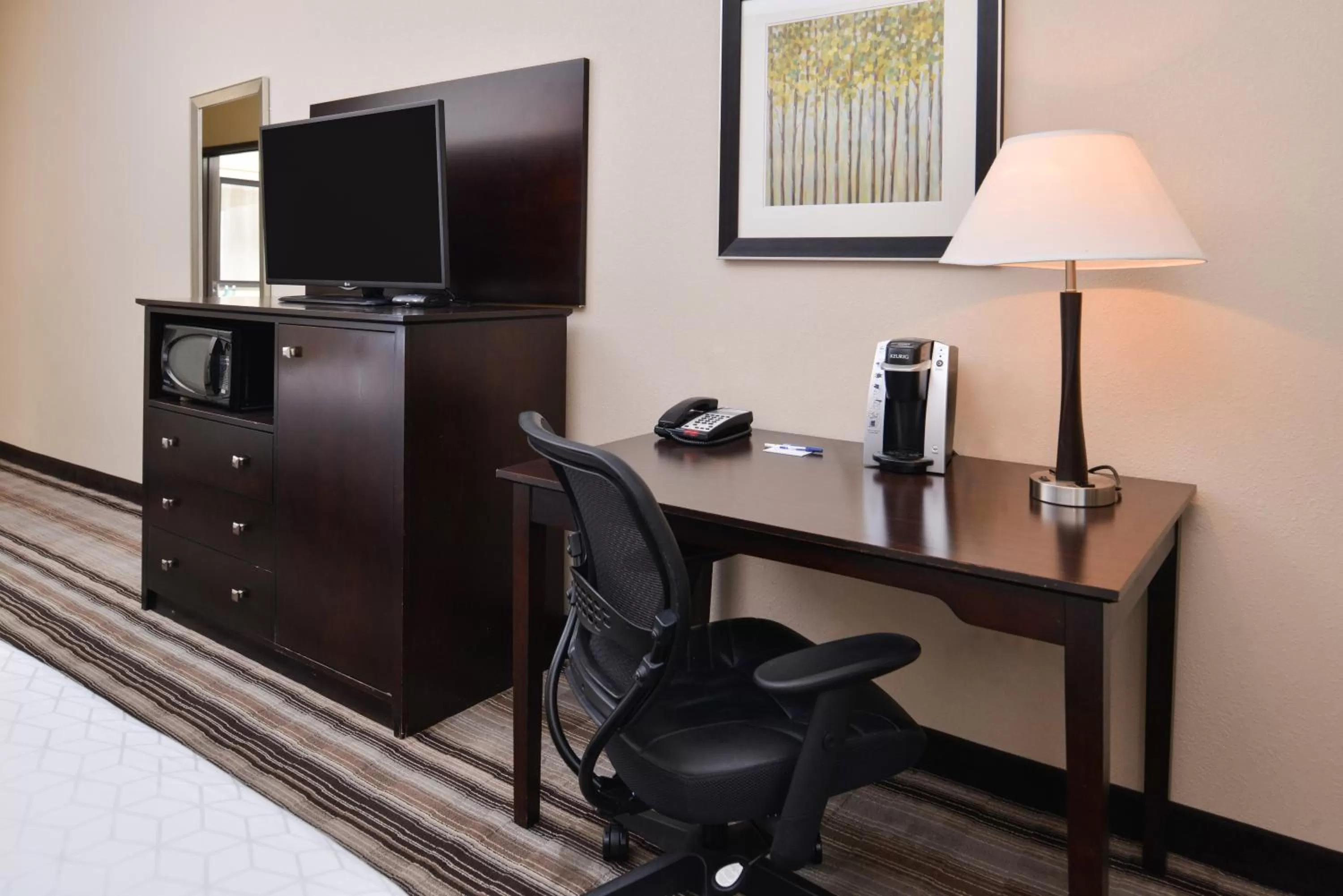 Standard Queen Room with Two Queen Beds - Communications Accessible in Holiday Inn Express & Suites Emporia Northwest by IHG
