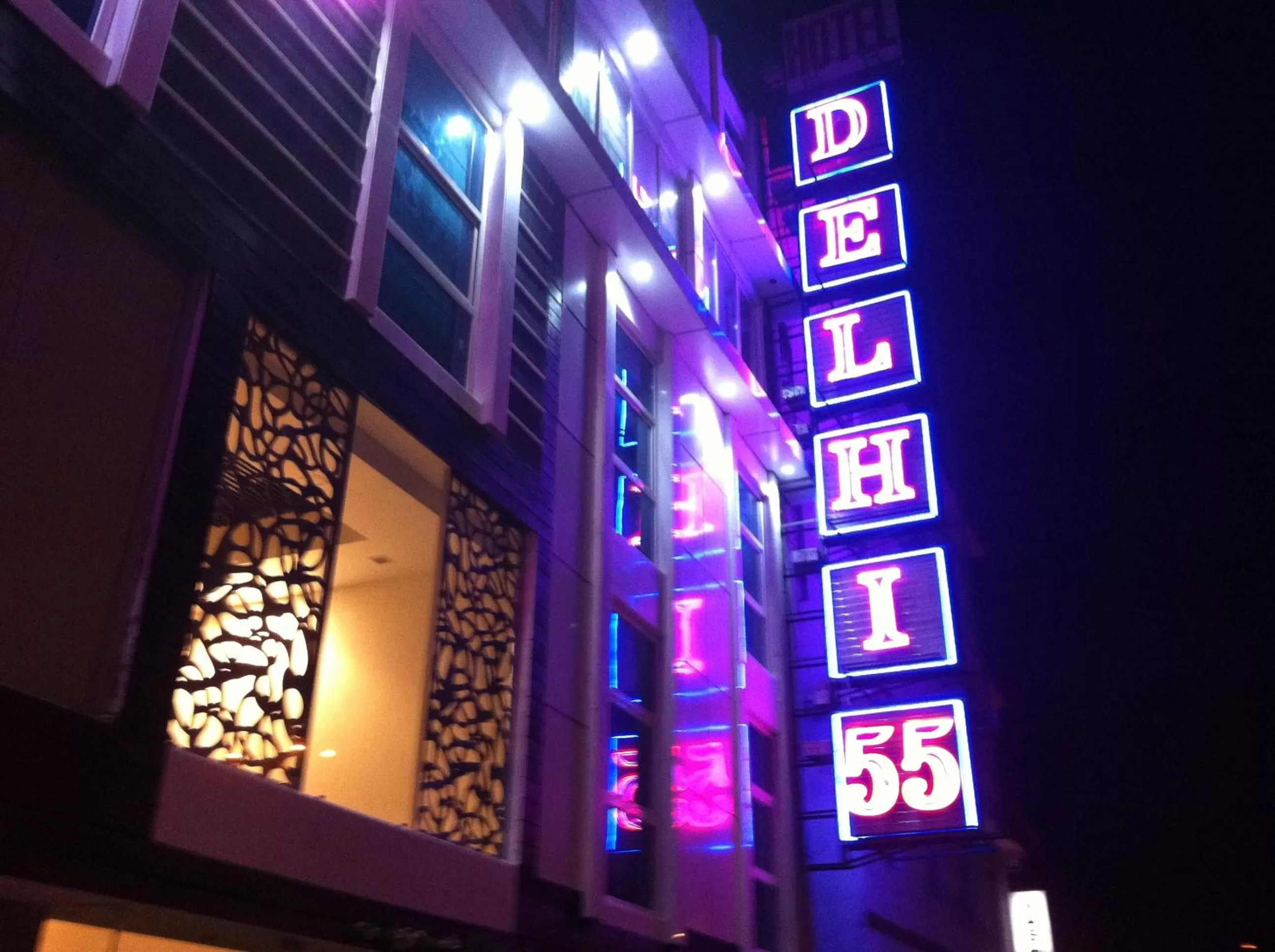 Hotel Delhi 55 -City Center