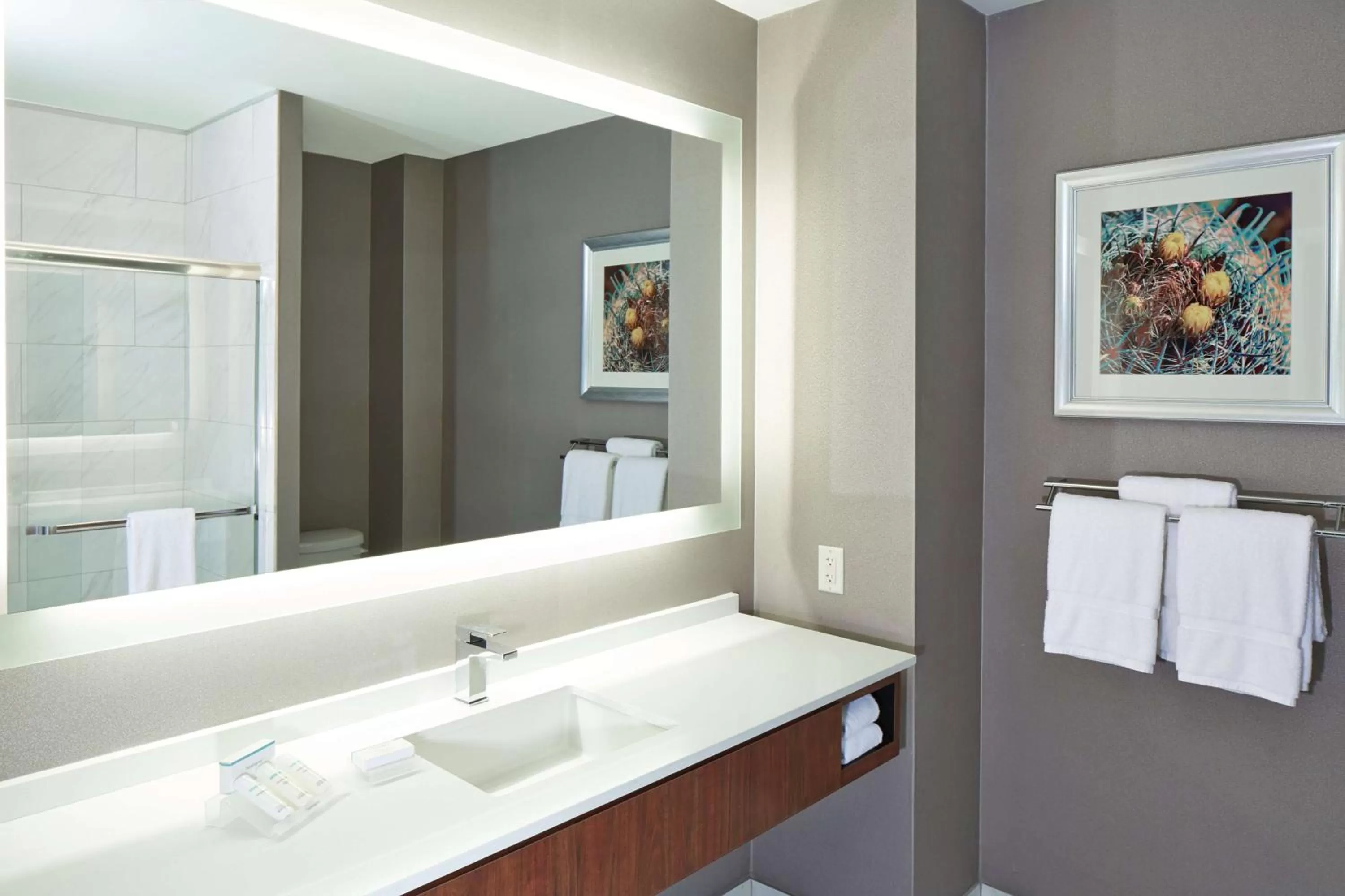 Double Room with Two Double Beds - Non-Smoking in Hilton Garden Inn Phoenix Downtown