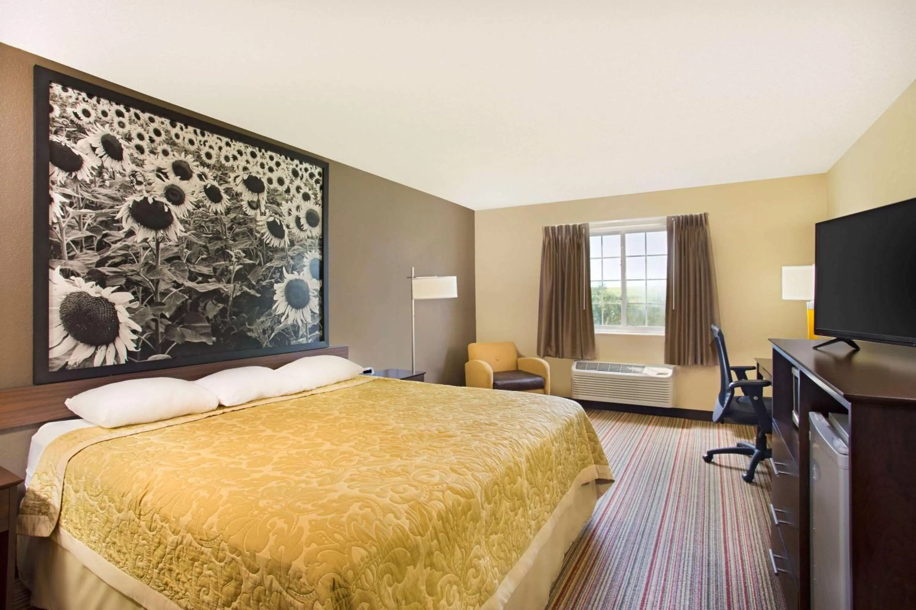 Deluxe King Studio Suite -  Non-Smoking in Super 8 by Wyndham New Hampton