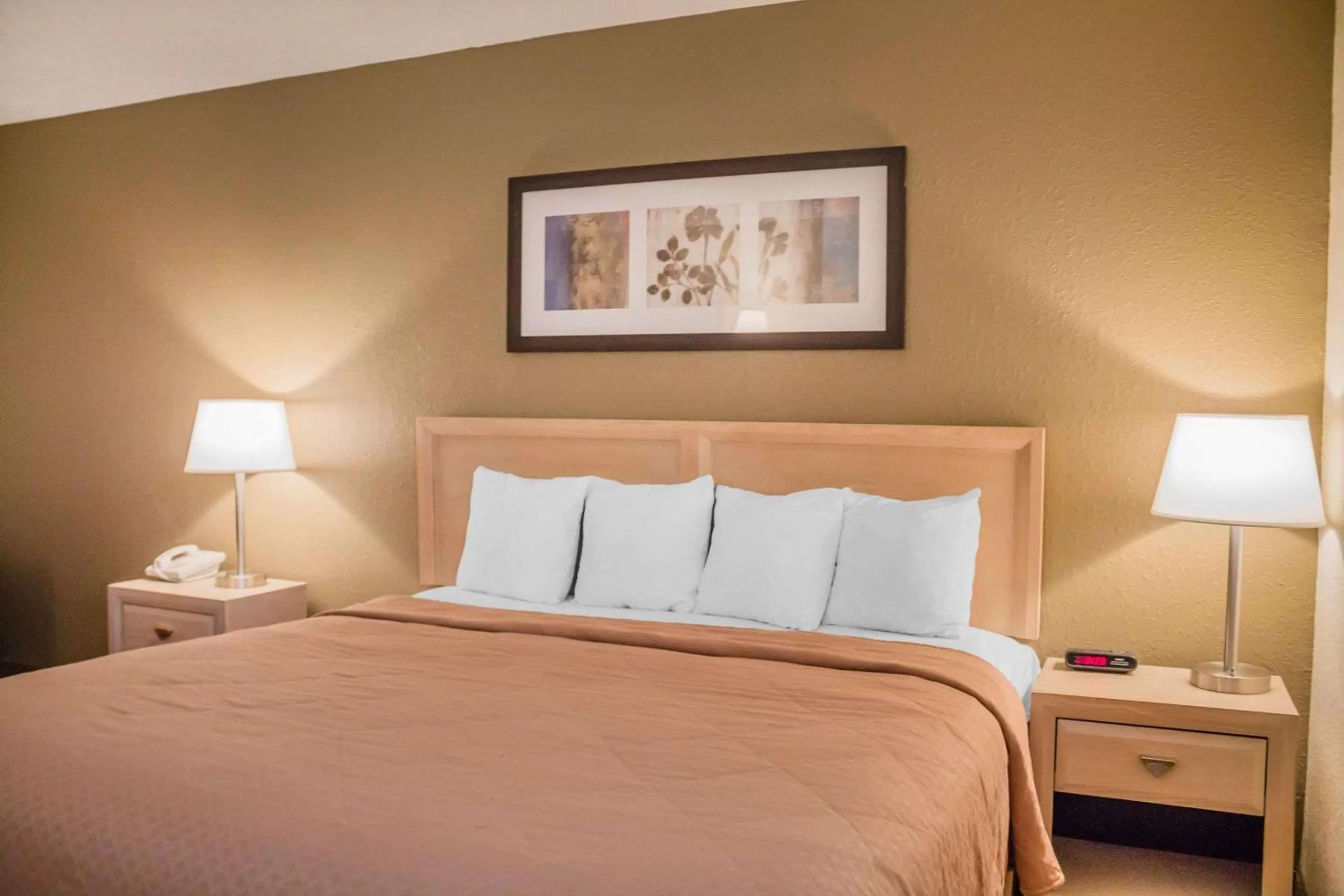 King Room with Front Lake View - Non-Smoking in Quality Inn Port Clinton Waterfront