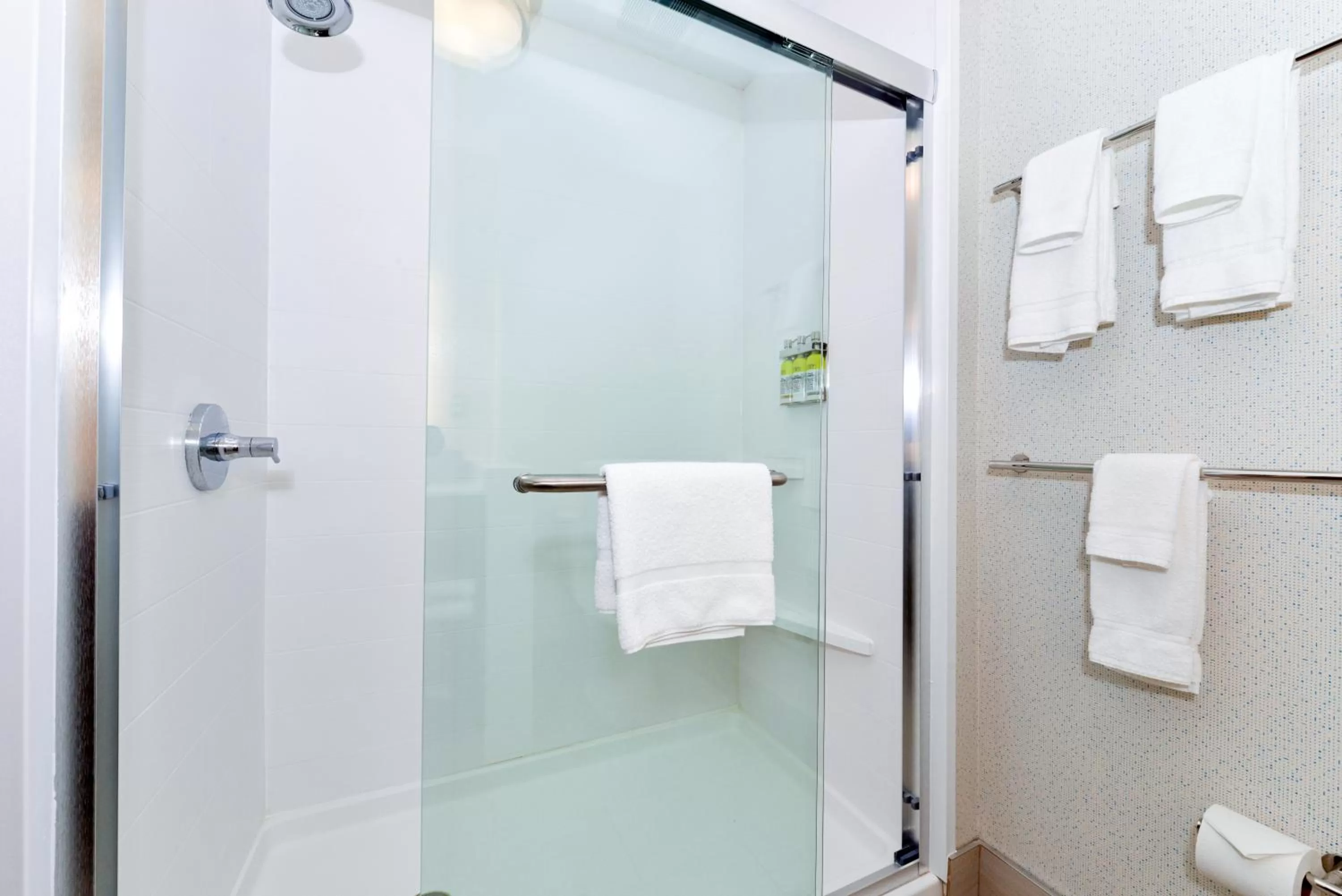 King Suite in Holiday Inn Express & Suites - Elko by IHG