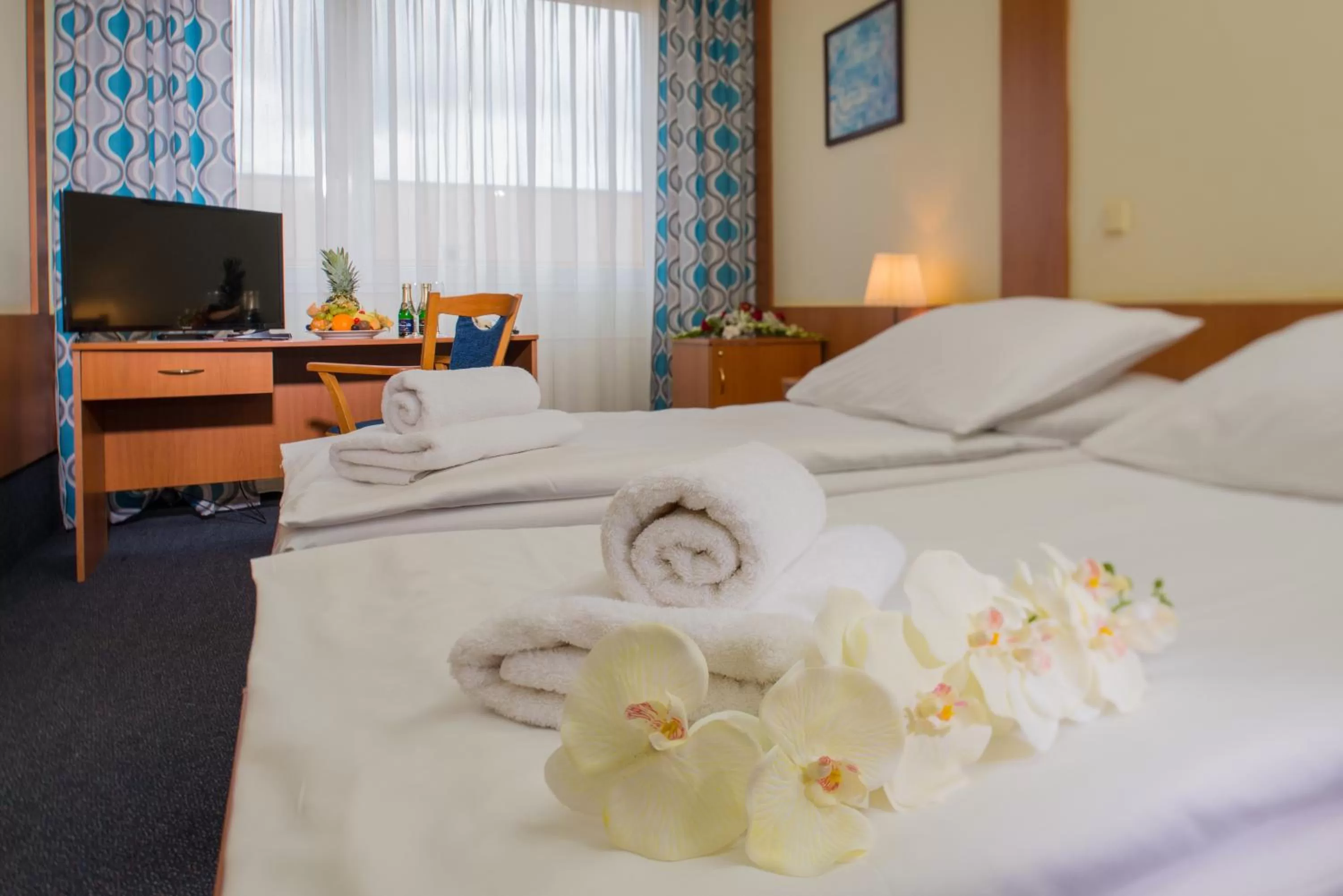 Standard Single Room in TOP HOTEL Praha