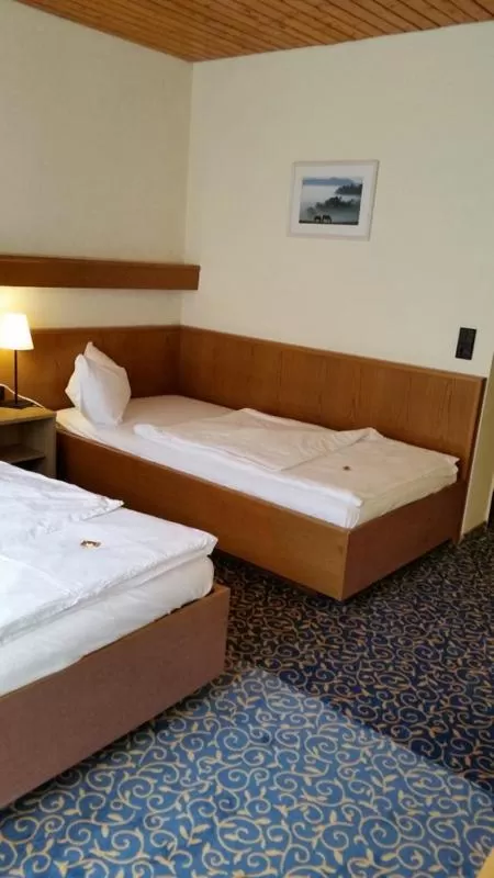Twin Room in Hotel Tannenhof