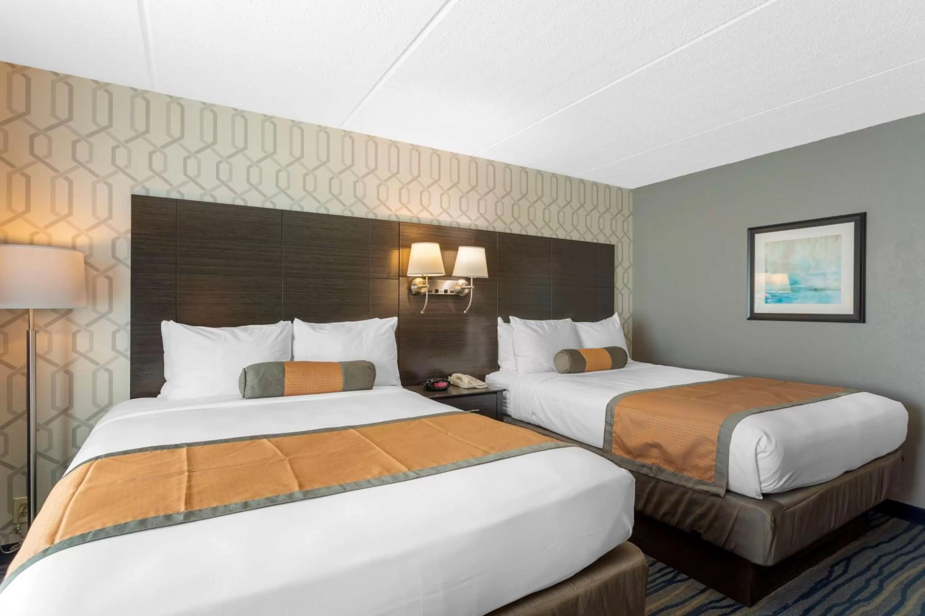 Queen Room with Two Queen Beds - Pet Friendly/First Floor/Non-Smoking/Exterior Entrance in Best Western Plus Bowling Green