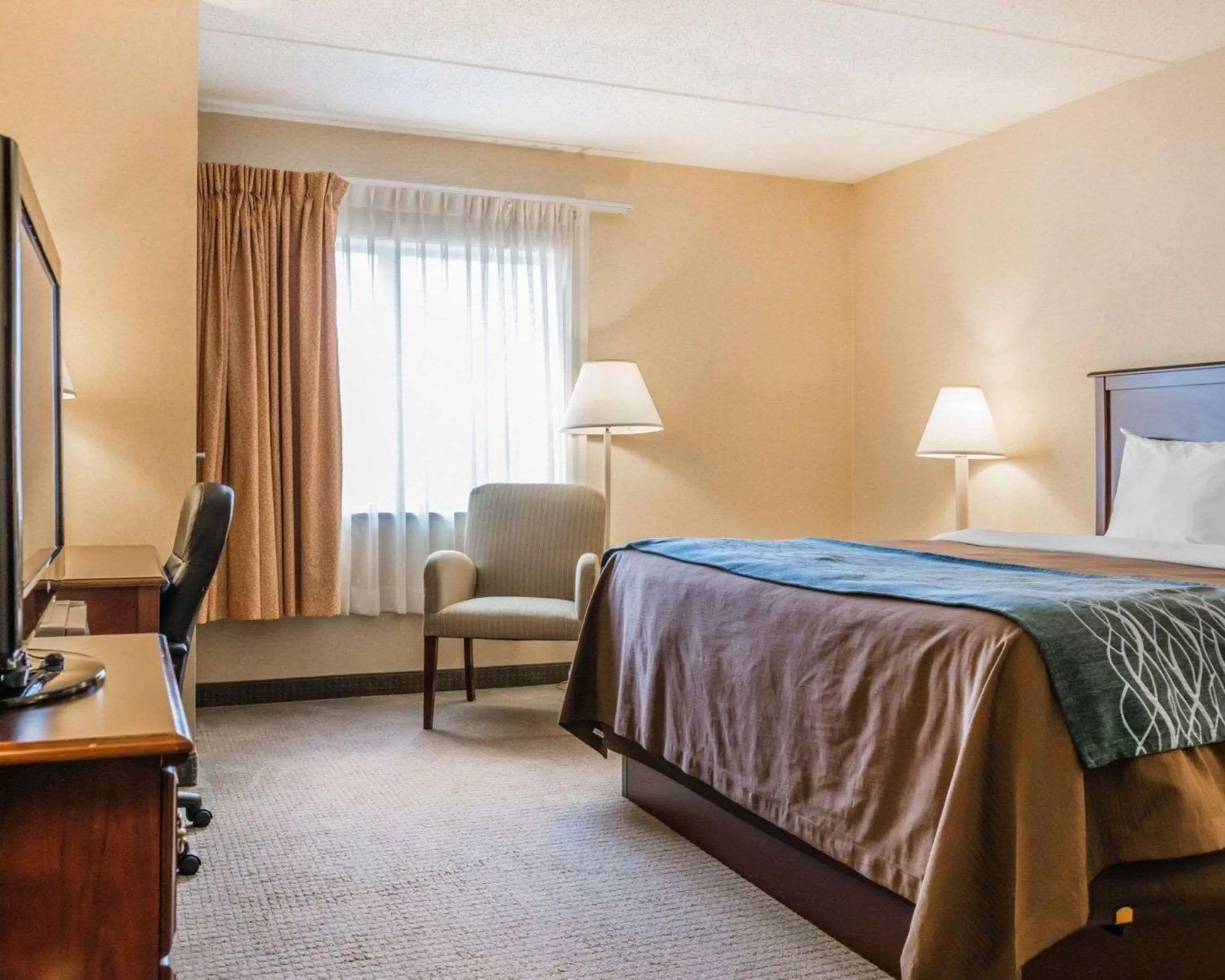 King Room - Non-Smoking in Rodeway Inn Mercer I-80