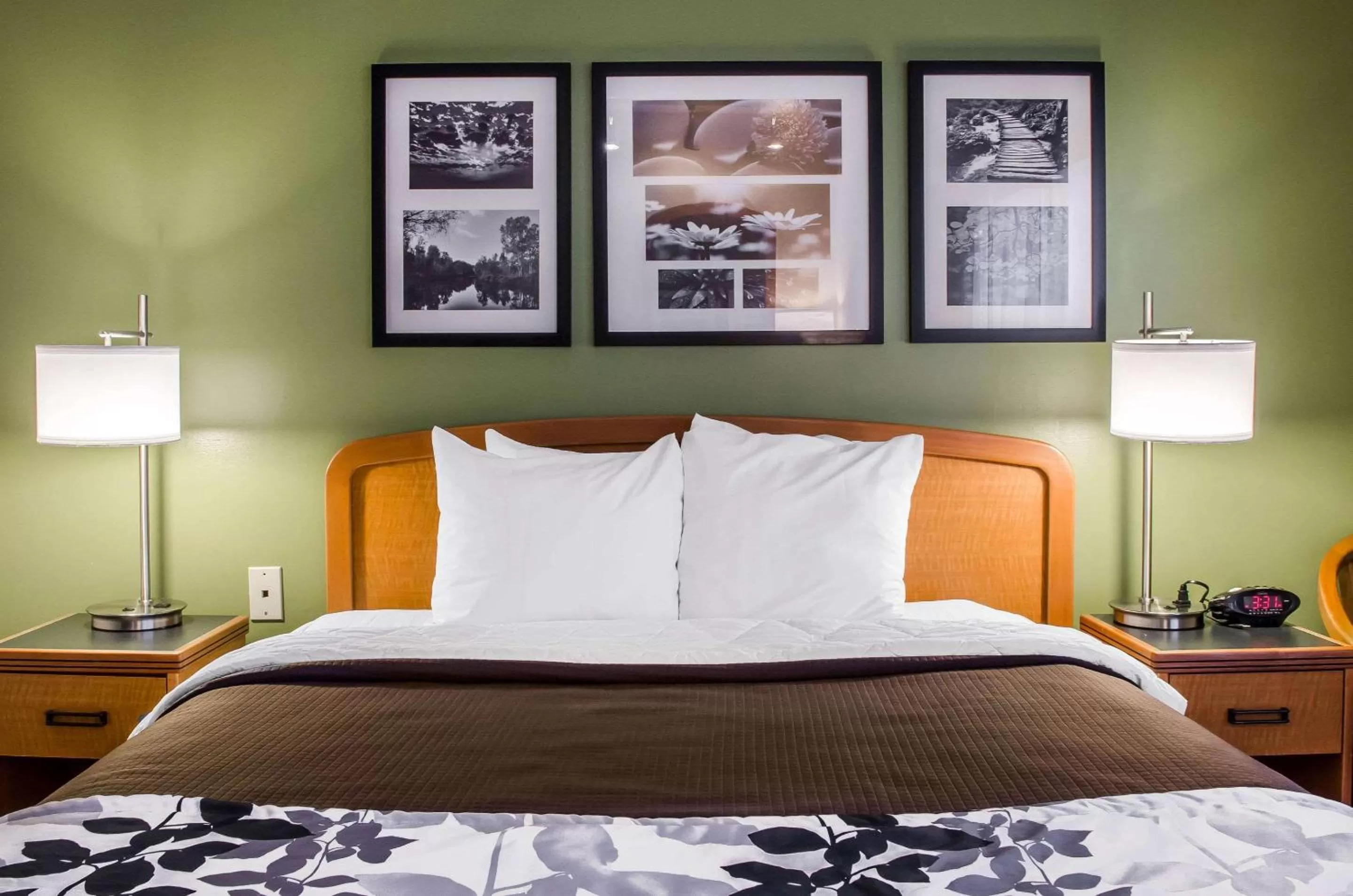 Queen Room - Accessible/Nonsmoking in Sleep Inn & Suites Bensalem