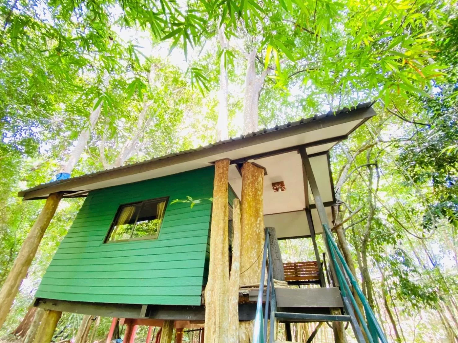 Standard Bungalow in Khao Sok Tree House Resort