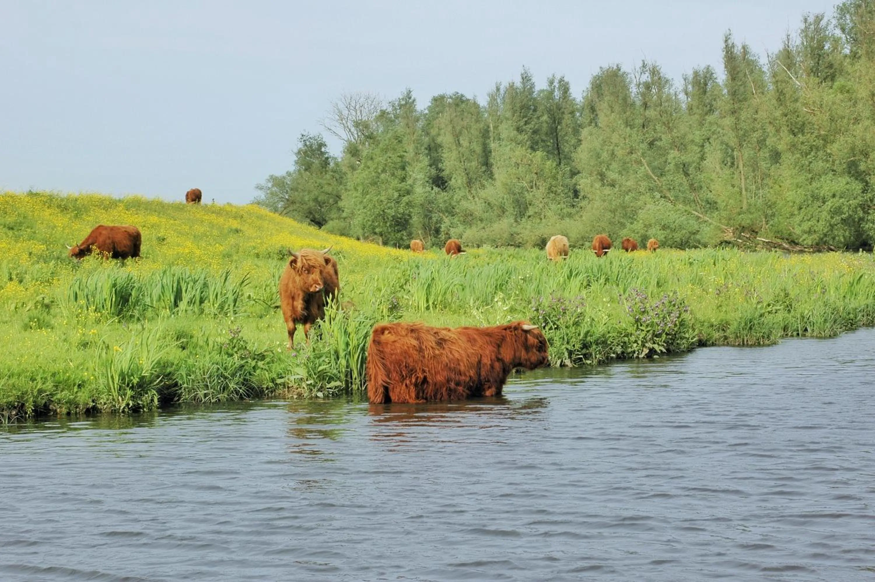Deluxe Double Room with Bath in Fletcher Hotel-Restaurant Zevenbergen-Moerdijk