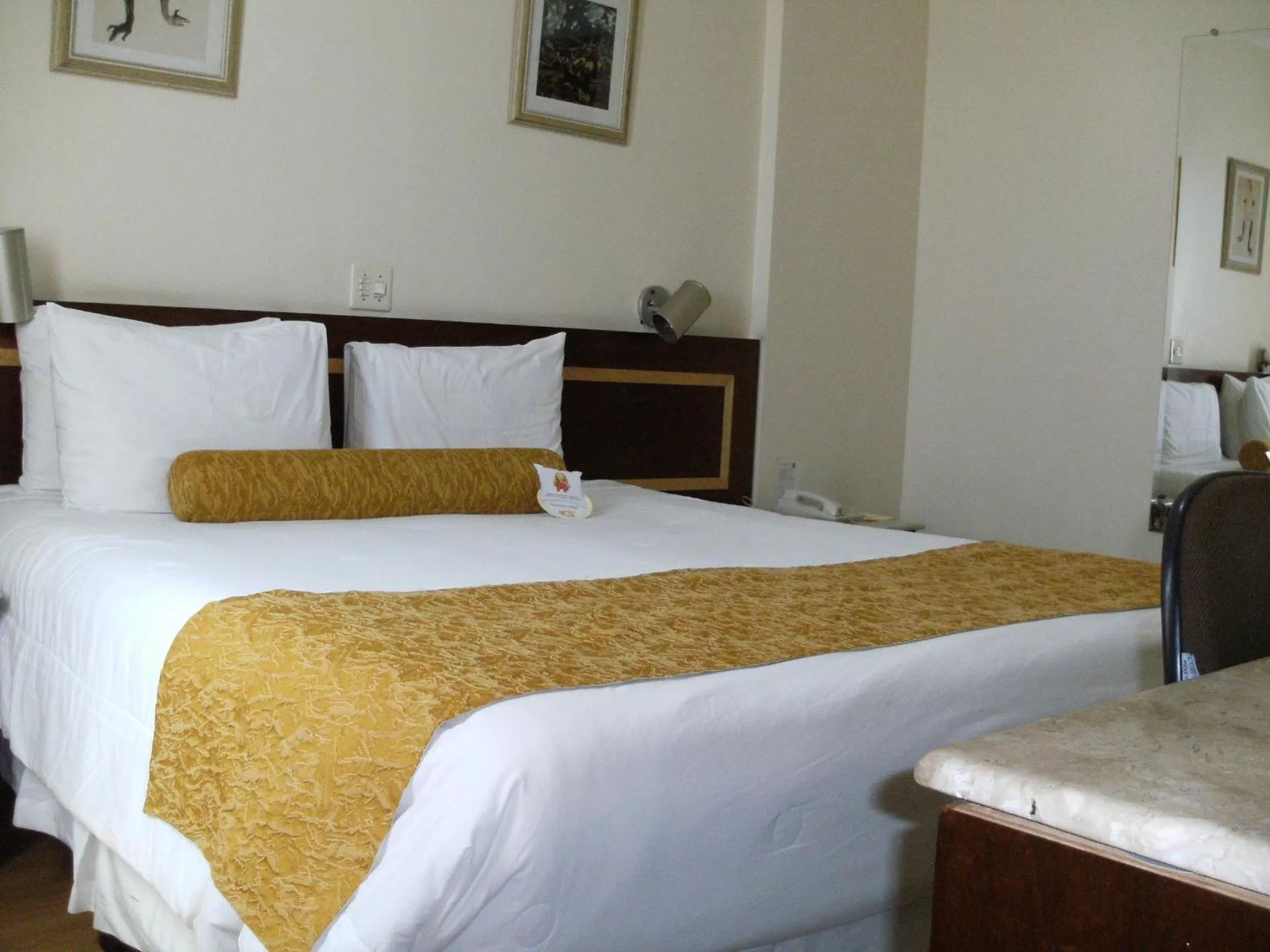 Superior Double Room - single occupancy in Carlton Plaza São José dos Campos