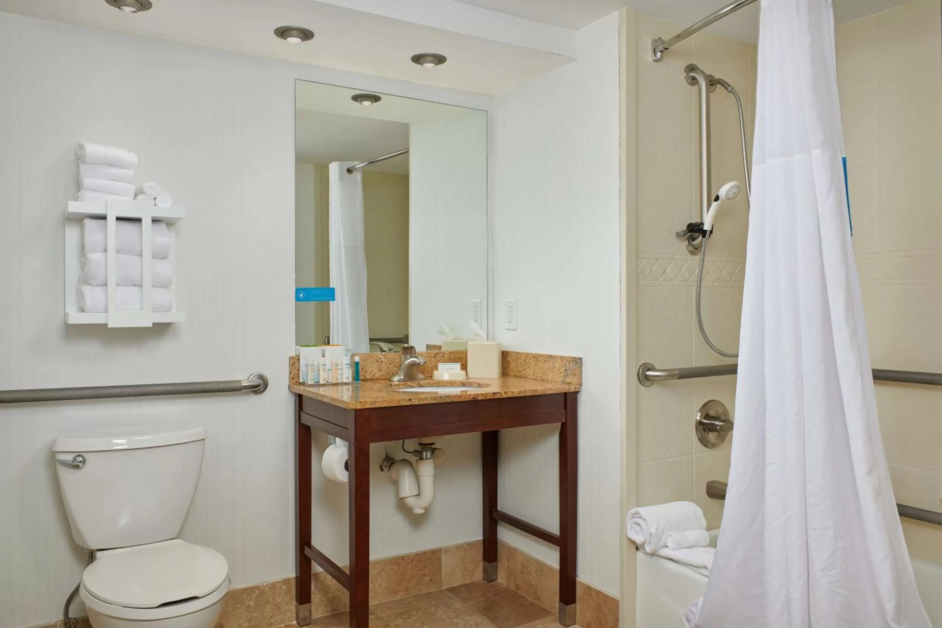 King Room with Accessible Tub - Mobility and Hearing Access/Non-Smoking in Hampton Inn Clemson