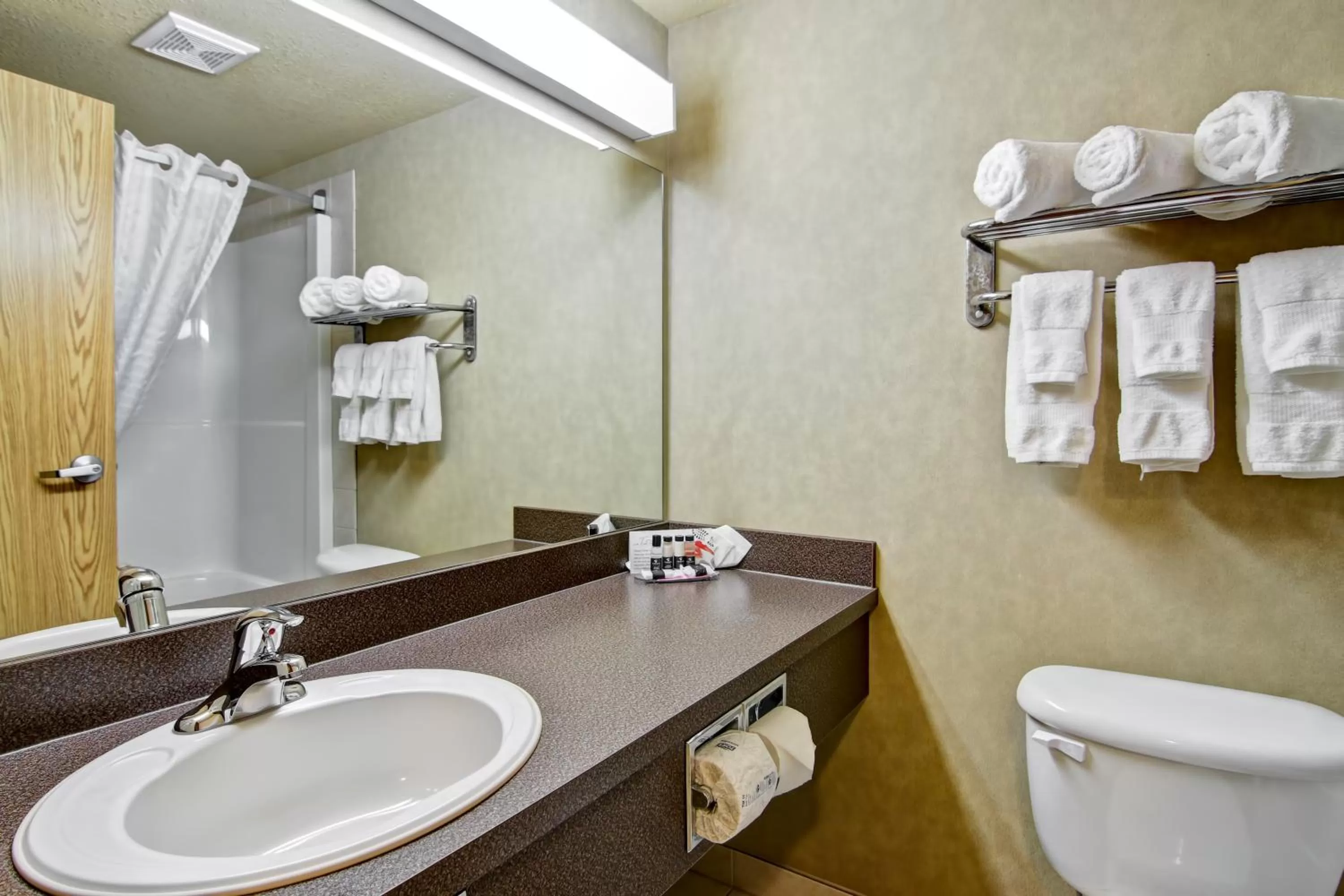 One-Bedroom King Suite - Non-Smoking in Ramada by Wyndham Ponoka