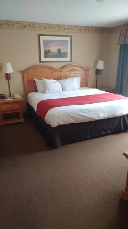 Premium One-Bedroom King Suite - Non-Smoking in Country Inn & Suites by Radisson, Waterloo, IA