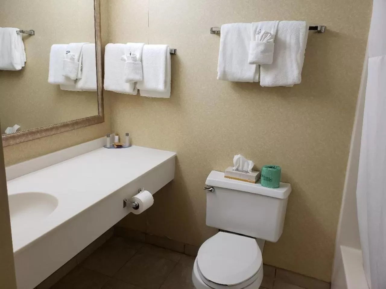 Mountainview Superior King Room  in Chateau Resort & Conference Center