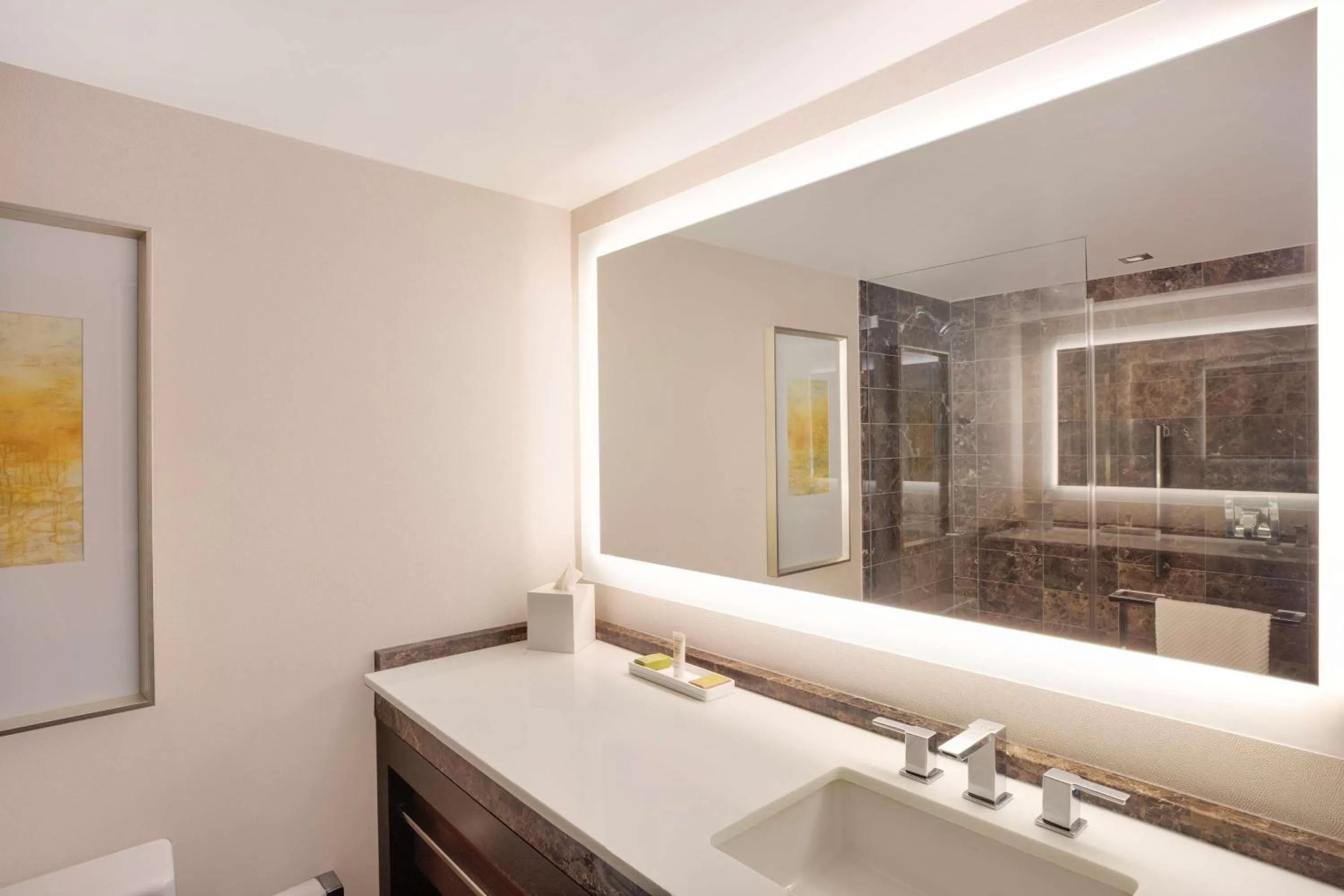 Premium King Room - Hearing Accessible/High Floor in Hilton McLean Tysons Corner