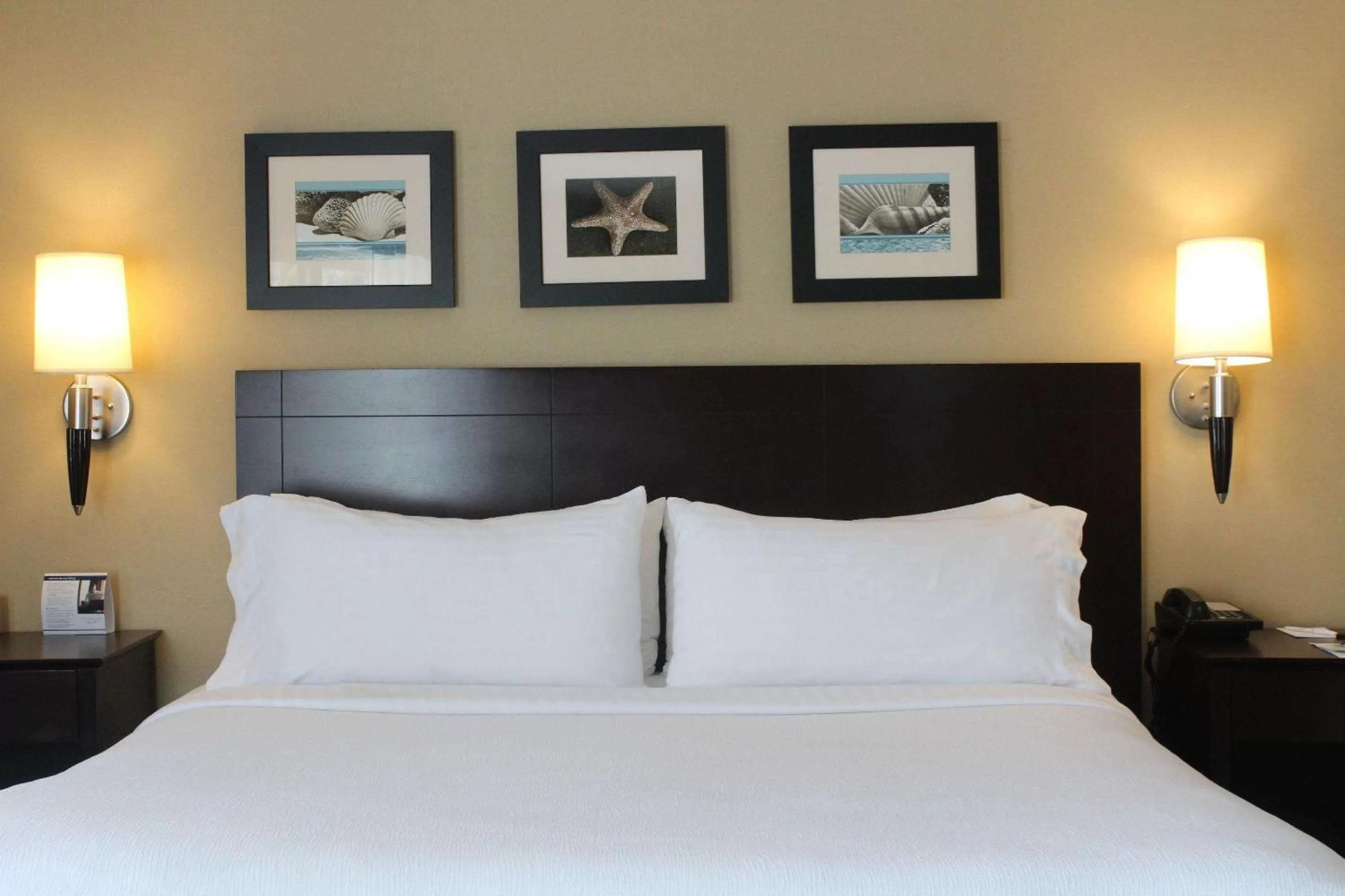 Standard King Room - Non-Smoking in The Volare, an Ascend Collection Hotel