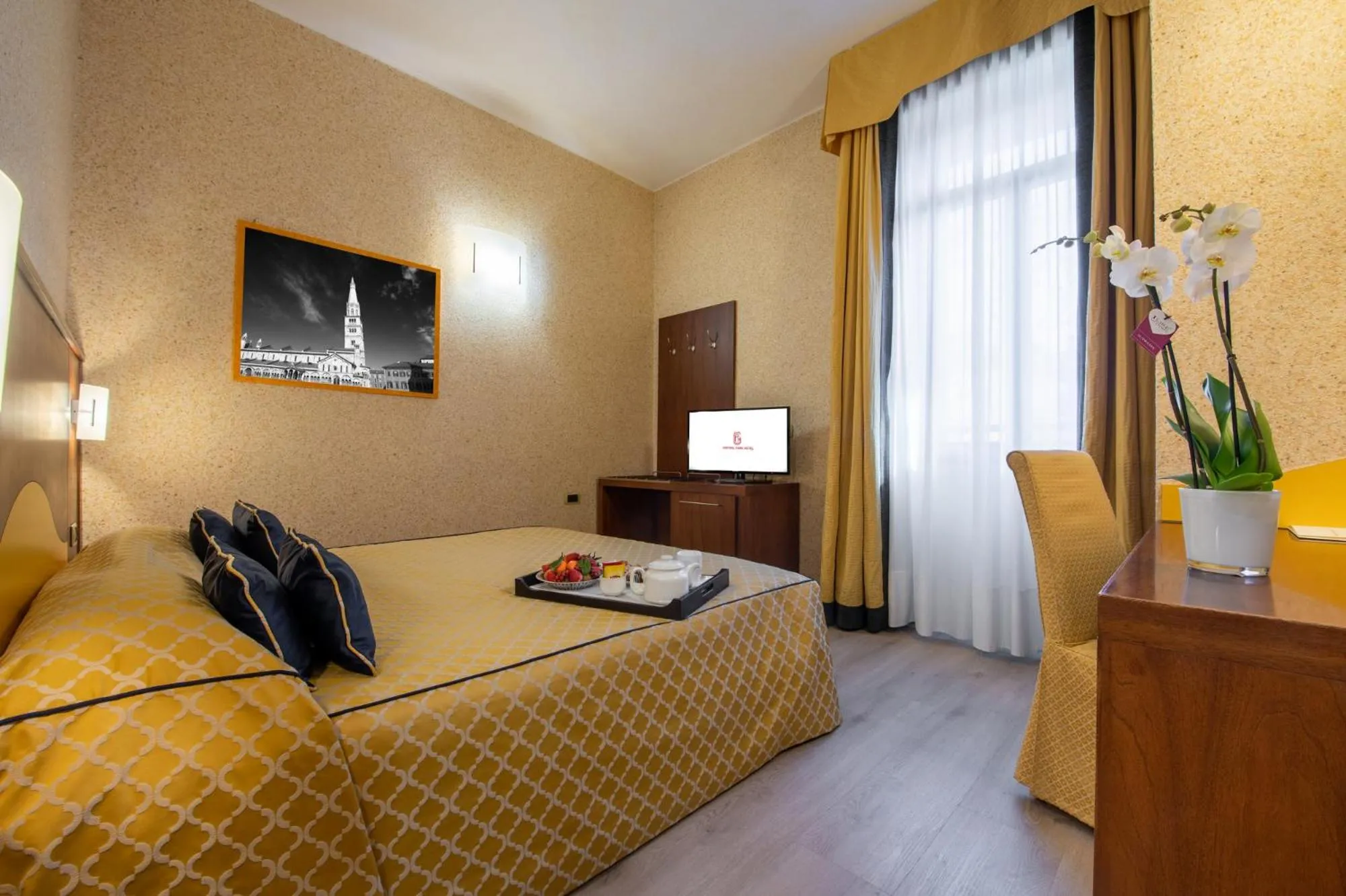 Standard Double or Twin Room - single occupancy in Central Park Hotel Modena